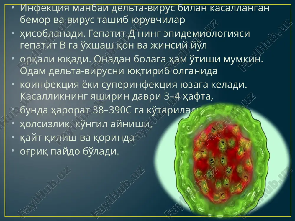 arida gepatit e ko'proq uchraydi. 1997 yili o'zbekistonda bo'lib o'tgan gepatit epidemiyasi hbv bilan bog'liq bo'lgan, degan ma'lumotlar bor. kasallikning yashirin davri 14–50 kun. gepatit e ning klinik belgilari, asosan, gepatit a ga o'xshaydi, lekin kasallik asta-sekin rivojlanadi. gepatit e epidemiyalari vaqtida bu kasallik bilan og'rigan homilador ayollar o'limi 10–40% gacha bo'lishi mumkin. kasallikning og'ir kechishi homilaga keskin salbiy ta'sir qiladi, bunda har ikki boladan biri o'lik tug'iladi. kasallikdan so'ng kuchli, butun umr davom etadigan immunitet hosil bo'ladi. gepatit e ga laboratoriya tashhisi qo'yish uchun bemorning qon zardobida gepatit e ga qarshi antitelolar aniqlanadi. kasallikning boshlang'ich davrida bemor najasini immunoelektronmikroskopiya bilan tekshirib gepatit e virusini topish mumkin. umumiy profilaktikasi gepatit e ga o'xshash, maxsus profilaktikasi hali ishlab chiqilmagan. etiboringgiz uchun rahmat image1.png image2.jpeg image3.jpeg image4.jpeg image5.jpeg image6.gif image7.png image8.jpeg image9.jpeg image10.jpeg image11.jpeg image12.jpeg image13.jpeg image14.jpeg image15.jpeg audio1.wav image16.jpeg image17.gif image18.gif /docprops/thumbnail.jpeg