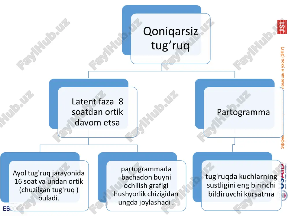 tug’ruqni aktiv va passiv fazalari - Page 3