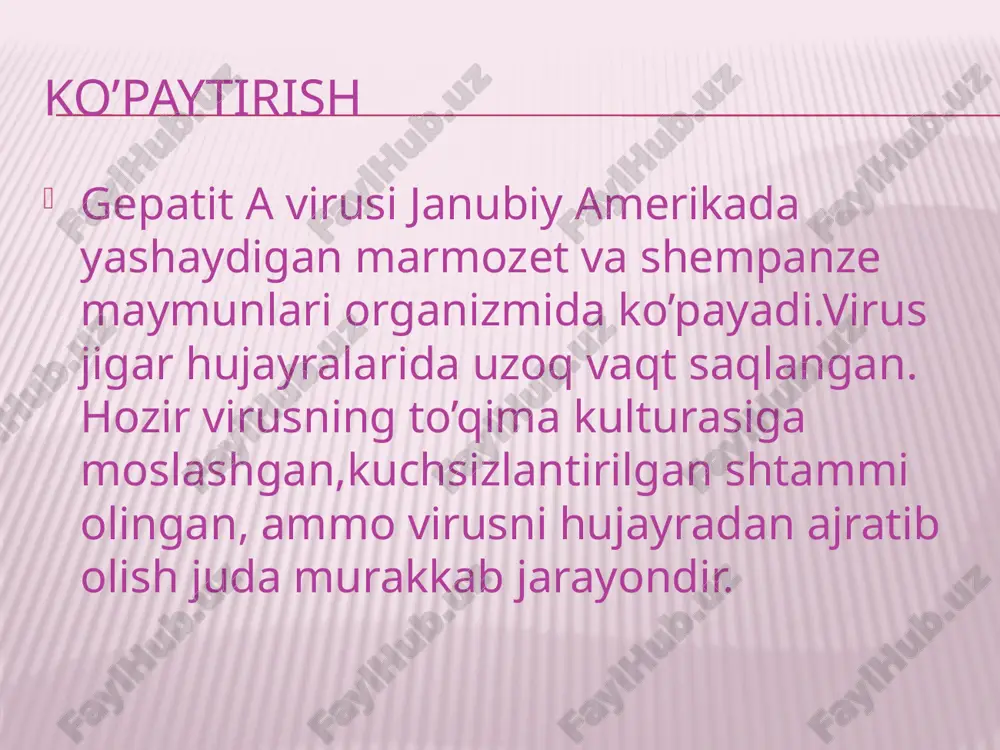 tsiyasi va virus genomining transkripsiyasi gepototsit hujayralarning yadrolarida sodir bo’ladi. chidamliligi gepatit b virusi tashqi muhit omillariga chidamli 60c qizdirilganda bir necha soatda qaynatilganda 15-20 daqiqadan so’ng o’z faolyatini yuqotadi. qon pazmasiga ub nur tasir etirilganda va -20c saqlanganda virus yuqush va antegenlik xosalarini saqlab qoladi. dezenfeksyalovchi moddalar( formalin, xloramin, fenol, efir va boshqalar) tasiriga chidamli. xayvonlarga nisbatan potogenezi. gepatit b virusi shimpanze maymunlari orasda keng tarqalgan bo’lib,ulardan 25% da hbs-antigeniga qarshi hbs-antitelolar borlgi aniqlangan. kasallikning odamlardagi patogenei. gepatet b ning manbayi bemor va virus tashib yuruvchilar xisoblanadi. y er sharida 5 mln dan ortiq virus tashib yuruvchilar bor. virus asosan , parenteral yo’l bilan yaxshi sterlnamagan tibbiyot aspoblari ( shptis , igina, skalpel, tish davolashta ishlatiladigan asboblar va boshqalar) xamda jinsiy aloqa orqali yuqadi . odam uchun 0,001 ml plazma yoki qon yuqumli miqdor xisoblanadi. virus odam organizimidagi barcha biyolagik suyuqliklarda bo’ladi, shuning uchun onadan bolaga yo’ldosh orqali, ko’krak …