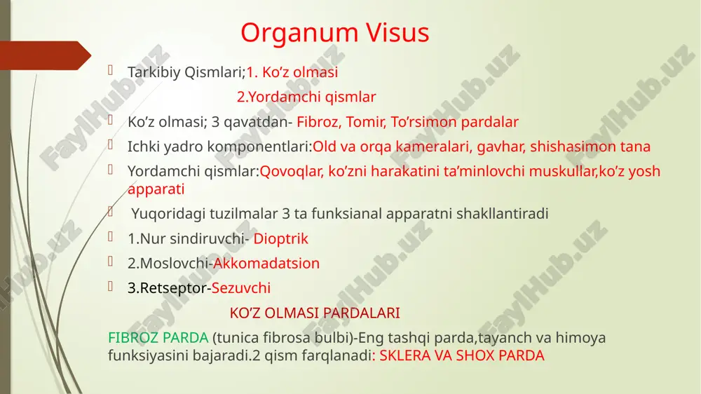 shgan. tor parda(tunica interna bulbi seu retina) -eng ichki qismda 2 qavatdan iborat; a)tashqi pigmentli qavat-tomirli pardadagi pigment hujayralaridek yorug’likni yutib,qaytishga to’sqinlik qiladi. b)ichki qavat-xususiy to’r parda -ko’zni kata qismida (olmani oldingi 1/3 qismigacha) joylashgan -glial hujayra, yorug’lik sezuvchi,2 tip signal o’tkazuvchi hujayradan iborat. ganglionar neyron aksoni to’r parda ichki yuzasidan o’tib,ko’r dog’ soxasidan chiqadi va n.opticus ni shakllantiradi. 5 guruh hujayralardan mavjud; 1)pigment epiteliy hujayralar-eng yuza qavat 2)fotoretseptor neyronlar 3)mahalliy assotsiativ neyronlar-boshqa neyronlarga bog’langan 4)ganglionar neyronlar-signalni bosh miyaga uzatadi 5)gliotsitlar-neyronlar orasini to’ldiradi pigmentli epiteliositlar -tomirli pardaga qaragan bazal membranada yotadi -o’simtaga ega-sezuvchi neyron dendritlarni qoplaydi -melanosomada-melanin granulasi va pigmentlar saqlaydi. -funksiyasi: -ortiqcha yorug’likni yutadi(85-90%)-orqa devordan qaytishini oldini oladi -fotoretseptor hujayralarni retinol (vit,a) bn ta’minlaydi.bu modda radopsin,yodopsin sintezida qatnashadi. -fotoretseptor hujayralar ajratgan metobolitlarni fagotsitoz qiladi yorug’lik sindiruvchi neyronlar 3 qismdan-1.periferik-dendrit-pigment hujayra o’simtalarini o’raydi 2.yadro saqlovchi 3.markaziy-akson-mahalliy assotsiativ neyron bn sinaps hosil qiladi. dendrit 2 segmentga bo’linadi; tashqi(epiteliyga yopishgan) va ichki …