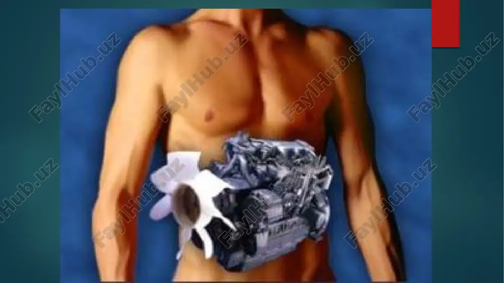 hini kechiktirib mumkin. metabolik kasalliklar oldini olish a muvozanatli oziq va xolesterin oziq-ovqat bartaraf to'g'ri almashinuvini ta'minlashga yordam beradi. etarli kislorod to'qimalarda metabolik jarayonlarni faollashtiradi. vitaminlar va minerallarning to'g'ri tanlash hujayralari suv-tuz almashinuvini yaxshi ishlashini ta'minlash uchun. deb stevia buyuk foyda bo'lishi mumkin - mashhur o'tlar. bolalarda moddalar almashinuvi kasalligi moddalar almashinuvi buzilishi kasalliklari (raxit, spazmofiliya, gipotrofiya, ekssudativ diatez). allergiya. terining zamburug`li va qichima kasalliklari. gelmintozlar reja: 1.moddalar almashinuvi kasalliklari: - raxit; - spazmofiliya; - gipotrofiya; - ekssudativ diatez. 2.allergiya. 3.terining zamburug`li kasalliklari. 4.terining qichima (qo`tir) kasalligi. 5.gelmintozlar. bola organizmida oqsil, yog`, uglevod, mineral tuzlar, vitaminlar almashinuvi buzilishi tufayli bir qator kasalliklar va kasallikka yaqin holatlar yuzaga kelishi mumkin.shulardan eng ko`p uchraydiganlari quyidagilar: raxit, spazmofiliya, gipotrofiya, ekssudativ diatez. raxit - organizmda vitamin “d” yetishmasligi tufayli kalsiy va fosfor almashinuvining buzilishi natijasida kelib chiqadigan kasallik. sababi.onaning homiladorlik davrida ovqat ratsionining buzilishi, bolaning chala tug‘ilishi, sun`iy ovqatlantirish, quyosh nuridan to‘liq foydalanmaslik va …