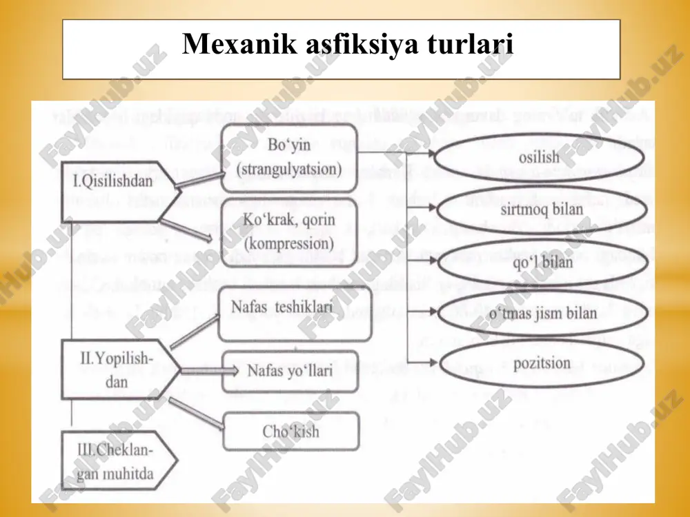 alarga nisbatan amneziya kuzatiladi. postasfiktik holat qoldiq oqibatlar davri. mutanosib va to’laqon tibbiy yordam ko’rsatilganda yengil darajadagi postasfiktik holatlari bilan bog’liq bosh miya va ichki a’zolar faoliyatidagi o’zgarishlar 1-2 hafta ichida qoldiq oqibatsiz yo’qoladi. boshqa holatlarda xotiraning, diqqatning buzilishi, holsizlik, doimiy bosh og’riqlari, asabchanlik, parxez va paralichlar, ba’zan esa intelektning pasayishi, ko’rish va eshitish qobiliyatining buzilishi kabi qoldiq oqibatlar vujudga kelishi mumkin. postasfiktik holat mexanik asfiksiyaning turidan qat’iy nazar aksariyat holatlarda murda tekshiruvida ma’lum bir tashqi va ichki morfologik o’zgarishlar aniqlanadi. binobarin, bu o’zgarishlaming ko’pchiligi nafaqat mexanik asfiksiyadan vujudga kelgan o’lim hollarida, balki tez o’limning boshqa ko’rinishlarida ham masalan, yurak-qon tomir kasalliklaridan to’satdan o’lim , elektrotravma, anafilaktik shok va boshqa holatlarda ham kuzatilishi mumkin. mexanik asfiksiyaning umumiy belgilari yuz va bo’yinning sianozi hansirash vaqtidagi talvasalarda vujudga keladi. bu belgi turg’un bo’lmaydi va murda chalqancha yotganda qonning pastga oqib tushishi natijasida yo’qolishi mumkin. aksincha, murda yuzi bilan pastga qarab yotganda mexanik …
