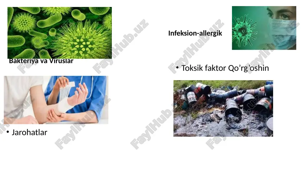 tar yo‘l orqali o‘tish echkining xom sutini iste’mol qilganda ro‘y beradi. sigir organizmida kana ensefaliti virusi rivojlana olmaydi. it, qo‘y, cho‘chqa, ot, maymun va oq kalamushlar ushbu virusga sezgir bo‘lishadi. bu kasallik bemor kishidan sog‘lom kishiga yuqmaydi va kasallangan odamda kana ensefalitiga nisbatan turg‘un immunitet qoladi patogenezi. kana teriga chuqur yopishib oladi va odamning qonini so‘ra boshlaydi. virus teriga o‘tgan zahoti ko‘paya boshlaydi va mahalliy yallig‘lanish reaksiyasini yuzaga keltiradi. oradan 4–5 kun o‘tgach, kana teridan o‘zi tushib ketadi. ba’zida odam o‘z tanasida kanani ko‘rib, uni qo‘li bilan olib tashlaydi. virus qonga tushgach, virusemiya davri boshlanadi, ya’ni virus qon orqali barcha a’zo va to‘qimalarga tarqaladi. kasallikning yashirin davri 5–25 kunga, o‘rtacha 7–14 kunga teng. alimentar yo‘l orqali zararlanishda inkubatsiya davri juda qisqa bo‘lib, 2–3 kunni tashkil qiladi. klinika kasallik o‘tkir boshlanadi. tana harorati 39–41°c ga ko‘tariladi. bemor chidab bo‘lmas darajada kuchli bosh og‘riqdan shikoyat qiladi, ko‘ngli aynib, ketma-ket qusa boshlaydi. keyinchalik …