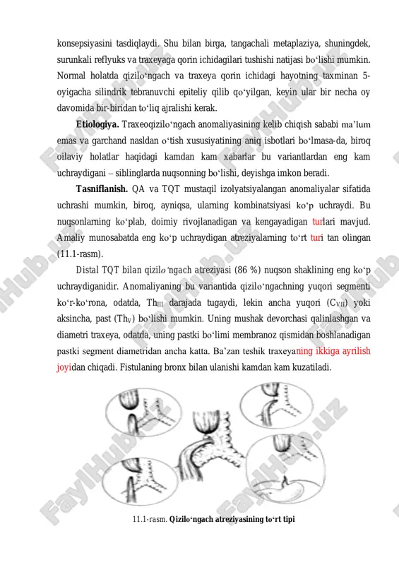 lib keladigan embriogenez buzilishining aniq tabiati, ehtimol, yana qandaydir vaqt ma’lum bo‘lmay qoladi. biroq, qa va tqtdan o‘lgan bemorlarning nafas olish yo‘llaridagi yetarlicha ko‘p uchraydigan, shilliq qobiqning tangachasimon hujayralari dastlab old ichak uchun mo‘ljallangan, to‘qimalar traxeya tomonidan «qonunga qarshi o‘zlashtirilishi» konsepsiyasini tasdiqlaydi. shu bilan birga, tangachali metaplaziya, shuningdek, surunkali reflyuks va traxeyaga qorin ichidagilari tushishi natijasi bo‘lishi mumkin. normal holatda qizilo‘ngach va traxeya qorin ichidagi hayotning taxminan 5- oyigacha silindrik tebranuvchi epiteliy qilib qo‘yilgan, keyin ular bir necha oy davomida bir-biridan to‘liq ajralishi kerak. etiologiya. traxeoqizilo‘ngach anomaliyasining kelib chiqish sababi ma’lum emas va garchand nasldan o‘tish xususiyatining aniq isbotlari bo‘lmasa-da, biroq oilaviy holatlar haqidagi kamdan kam xabarlar bu variantlardan eng kam uchraydigani – siblinglarda nuqsonning bo‘lishi, deyishga imkon beradi. tasniflanish. qa va tqt mustaqil izolyatsiyalangan anomaliyalar sifatida uchrashi mumkin, biroq, ayniqsa, ularning kombinatsiyasi ko‘p uchraydi. bu nuqsonlarning ko‘plab, doimiy rivojlanadigan va kengayadigan turlari mavjud. amaliy munosabatda eng ko‘p uchraydigan atreziyalarning …
