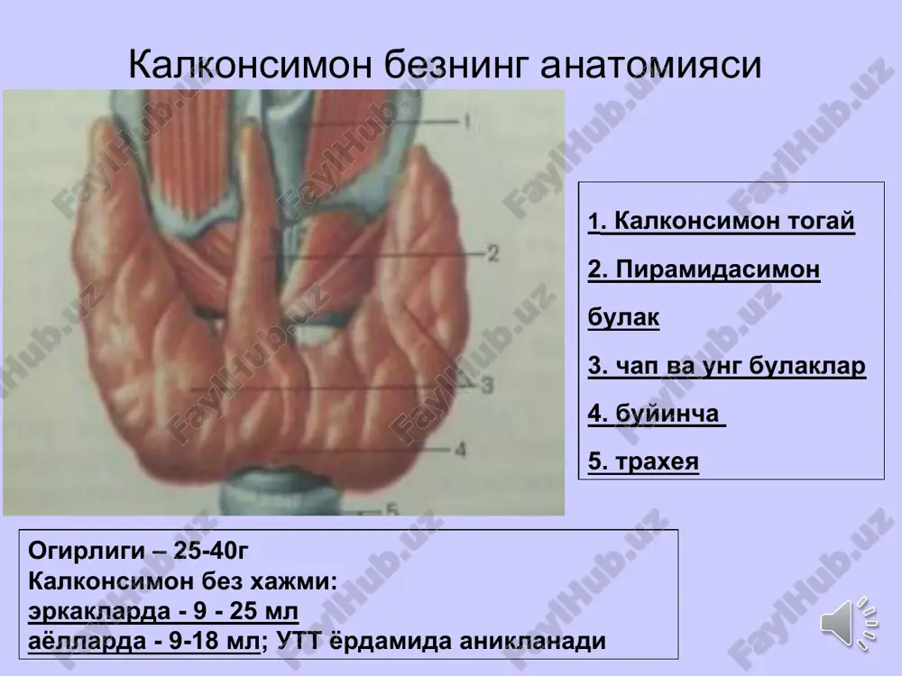 ayollarda erkaklarga nisbatan 7-8 marta kuprok kuzatiladi. respublikamizdagi bukok epidemiologiyasi 29,5% 9,8% 35,2% 21,6% 15,4% 9,4% 8,6% 18,5% 39,7% 11,2% bukokning kattalashishi buyicha klassifikatsiyasi o daraja – bez kurganda sezilmaydi va paypaslanmaydi i daraja – bez kurganda sezilmaydi, lekin buyichasi paypaslanadi va yutinish vaktida kurinadi ii daraja – bez yutinish vaktida kurinadi va yaxshi paypaslanadi, lekin buyin shakli uzgarmaydi iii daraja - bez kurikda anik kurinadi, «yugon buyin» kurinishi yuzaga keladi iv daraja – anik kurinadigan bukok, buyinning shakli uzgarib ketadi v daraja – bez ulkan xajmlargacha kattalashadi va kupincha kizilungach, traxeyani bosib yutinish va nafasni buzadi shuni aytish kerakki, kalkonsimon bezning i - ii darajali diffuz kattalashishi, agar uning funktsiyasi buzilmagan takdirda, patologiya xisoblanmaydi va bukok deb atalmaydi. bukok (endemik xam, sporadik xam) shakliga kura buladi: diffuz, tugunli va aralash. funktsional xolatiga kura: a) gipertireoid – kalkonsimon bez funktsiyasi kuchaygan b) eutireoid – kalkonsimon bez funktsiyasi uzgarmagan v) gipotireoid …
