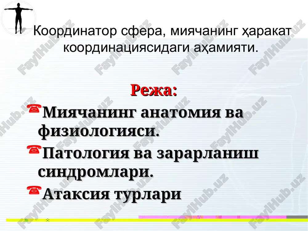 i klinovidnoe yadra; 9. retikulospinno-mozgovoy put; 10.nijnyaya oliva; 11. retikulo-mozjechkoviy put; 12. preddverno-mozjechkoviy put; 13. krasnie yadra; 14. visochno-temenno-zatilochno-mostovie volokna; 15.lobno-mostovie volokna; 16.yadro shatra chervya mozjechka; 17.zubchatoe yadro. yuqori oyoqcha efferent tolalardan iborat, tractus cerebellorubrothalamicus, yo'lini hosil qiladi, tishsimon va probkasimon yadrolardan boshlanib qizil yadro orqali talamus yadrolariga yo'naladi. o'rta oyoqcha afferent tolalardan iborat, ko'prikning xususiy yadrolaridan boshlanib (tractus pontocerebellaris) va miyachaning qarama-qarshi yarim sharlarida tugallanadi. pastki oyoqchalar orqali: 1. chuqur sezgi yo'lini bir qismi 2. fleksig tutami (klark xo'jayralaridan boshlanib orqa miyani orqa shohida tugallanadi). 3. olivo-miyacha tutami uzunchoq miyaning pastki olivasidan miyachaga keluvchi. 4. vestibulyar apparatdan miyachaga keluvchi tutam. vestibulyar nerv yadrosini (bexterev yadro) o'z tomondagi miyachani po'stlog'i bilan bog'laydi tractus cortico-ponto-cerebello-dentato-rubroreticulospinalis. sxematik 6 neyrondan iborat: bu yo'l bosh miya po'stlog'idan boshlanadi, yuqori va o'rta peshona ariqchasidan (tractus fronto-pontinus), yoki ikkinchi va uchinchi chakka ariqchalaridan (tractus temporo-pontinus), yoki po'stlog'ning teppa va ensa soxalaridan (tractus parietopontinus va occipito-pontinus). birinchi …