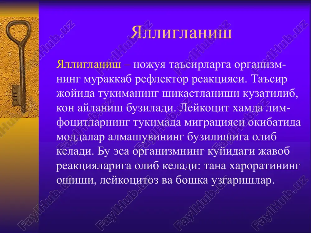 olash. yiringli uchokni yukotish ayol sogligi va normal tuxumdon funktsiyasini ta'minlashga karatilgan bulishi kerak. konservativ davo kompleks tarzda bulishi shart: antibakterial terapiya (antibiotiklar mikrob sezuchanligini inobatga olib, sulfanilamidlar); gipotermiya (kin va korin pastiga muz kuyish); desensibilizirlovchi preparatlar dezinoksikatsion terapiya (infuzion) vitaminoterapiya immunomodulyatorlar suriluvchi terapiya (biostimulyatorlar, fermentlar) fizioterapiya. virusli infektsiyalar keyingi vaktlarda keng tarkalgan. gerpes oddiy gerpes 2 turga bulinadi. ogv1 – teri, lab shillik kavati, burun va kuz shillik kavatlarini zararlaydi. ogv2 – jinsiy a'zolarni zarar-laydi. genital gerpes jinsiy yul orkali yukadi. erkaklarda siydik-tanosil trakti, ayollarda esa bachadon buyni kanali zararlanadi. simptomlari: zararlangach, 5-7 kun paydo buladi. vulvada, kinda, bachadon buynida va oralik terisida maxalliy kizarish, teri va shillik kavatlarning shishi, kichkina suyuklik saklagan pufakchali toshmacha paydo buladi. pufakchalar bir biriga kushilib 2-3 smli maydonni egallaydi. shikoyati: korin ostidagi va beldagi ogrikka, siydik chikarganda achishish, umumiy xolsizlik, bosh ogrigi, tana xaroratining 37,2-37,4 0 s gacha kutarilishi. maxalliy limfa bezlari kattalashuvi …