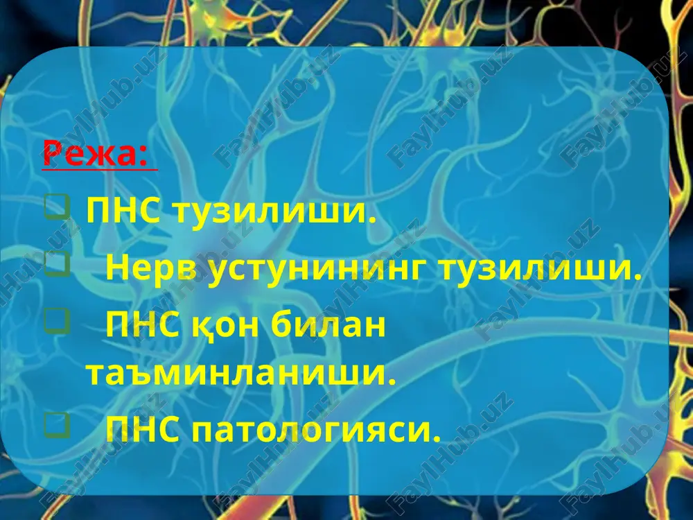 uteus superior n. gluteus inferior n. cutaneus femoris posterior n. ishiadicus n. tibialis n. peroneus bel-dumg'aza chigali chanoq kamari hamda oyoqlarni teri va mushaklarini innervatsiyalaydi. dum chigali s4-5-co1-2 ning oldingi shohchalari hosil qiladi. quyidagi nervlar chiqadi: n.coxygeus n.anocoxygeus n. pudendus ular jinsiy a'zolarni, anus va anogenital sohani innervatsiyalaydi. nerv stvolini tuzilishi periferik nerv sistemasi nerv stvollaridan iborat bo'lib, har bir stvolning o'zi esa nerv tolalaridan iborat. nerv tolalari nerv tutamlarini, nerv tutamlarining yig'indisi nerv stvolini hosil qiladi. 48 nerv tolalarini o'rab turgan qo'shuvchi to'qimaga endonevriy qobiq, tutamlarni o'rab turganda esa qobiq mezonevral va nerv stvolini o'rab turganda esa epinevral qobiq deyiladi. bu qobiqlardan nerv tolalariga qon tomirlar keladi. periferik nerv sistemasini qon bilan ta'minlanishi periferik nerv sistemasi ustundan tashqari va ustun ichi qon tomirlari orqali qon bilan ta'minlanadi. ustundan tashqari qon tomirlari atrofdagi qo'shni organlardan keladi va periferik nerv sistemasini bo'lak-bo'lak holatda, ya'ni segmentar qon bilan ta'minlaydi. har bir nerv …
