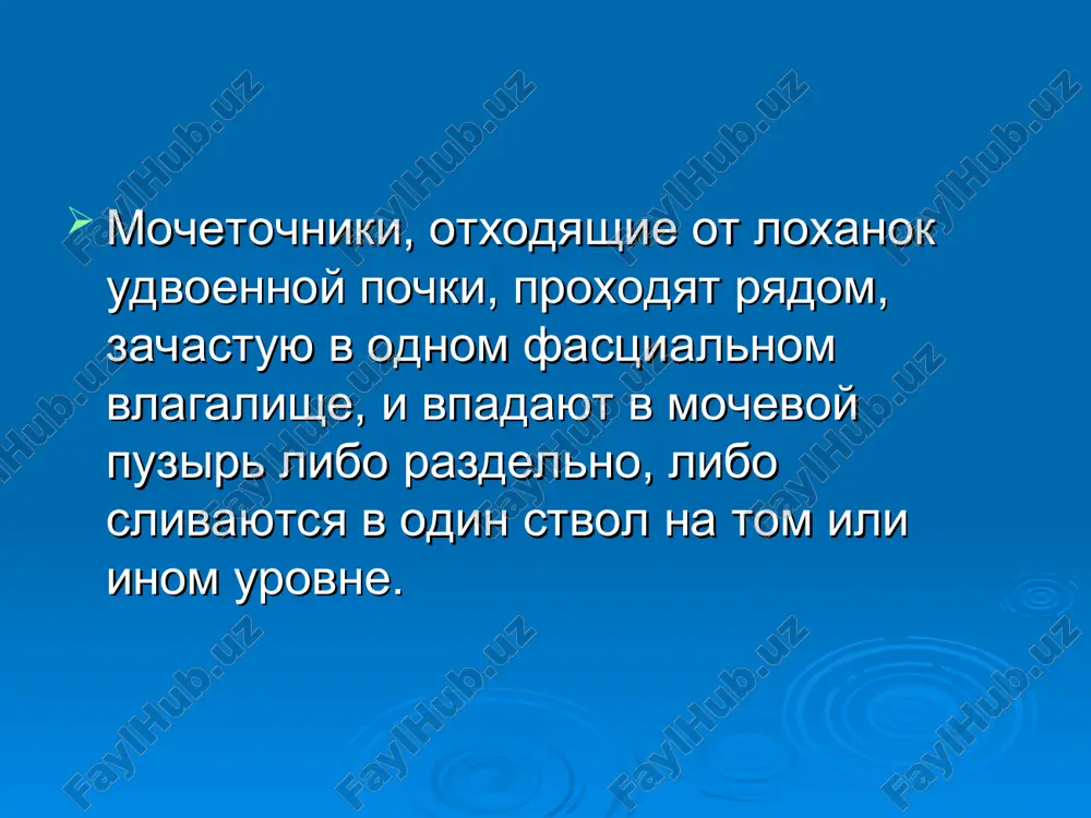 anomalii mochetochnikov - Page 3