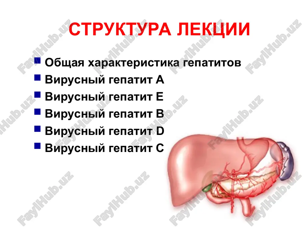 iya techenie ostrogo vgv legkaya forma srednetyajelaya forma tyajelaya forma molnienosnaya forma – bistroe narastanie pechenochnoy nedostatochnosti, ostraya pechenochnaya entsefalopatiya, dvs-sindrom, koma, neredko – smertelniy isxod diagnostika epidemiologicheskiy anamnez kliniko-laboratornie dannie opredelenie markerov vgv – hbsag, hbeag, dna-hbv, hbcag, dna-polimeraza lechenie pri legkoy forme – bazisnaya terapiya – ratsionalnaya dieta, shadyashiy dvigatelniy rejim. pri srednetyajeloy forme – patogeneticheskaya dezintoksikatsionnaya terapiya – parenteralnie infuzii, vitamini, spazmolitiki, antioksidanti i membranostabilizatori lechenie tyajeloy formi strogiy postelniy rejim, dieta №5a infuzionnaya terapiya preparati krovi, antikoagulyanti, diuretiki, ochishenie kishechnika kontrol diureza i vlivaemoy (vipivaemoy) jidkosti pri neobxodimosti – ispolzovanie glyukokortikosteroidov, plazmoferez lechenie interferoni i induktori ifn: viferon, roferon, reaferon, tsikloferon - primenyayut pri ugroze xronizatsii - chashe vsego nablyudaetsya xronizatsiya legkix i bezjeltushnix form - po 1-3 mln. v den 1-2 v sutki 5-30 dney - tsikloferon po sxeme. vaktsinatsiya engerix-b sxema vaktsinatsii: 0, 1, 6 mes. protivopokazaniy net effektivnost do 96% minimalnie pobochnie yavleniya …