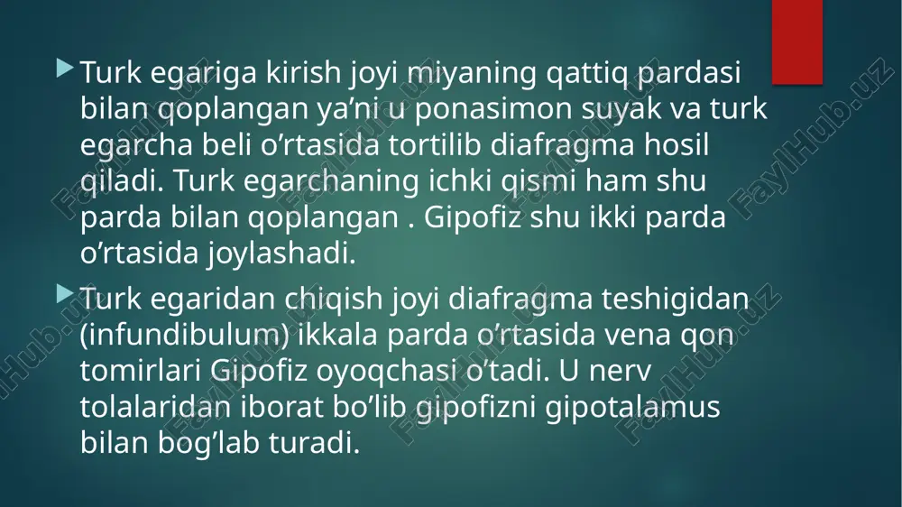 ik tugunidan innervatsiya oladi. gipofizdagi ishlab chiqariluvchi gormonlar ta’sir qilish joyiga qarab ikkiga bo’linadi: a)periferik endokrin bezlarga ta’sir qiluvchi trop gormonlar -fsg -lg -ttg -aktg b)organ va to’qimalaga tog’ridan to’g’ri ta’sir qiluvchi gormonlar-effektor gormonlar -stg -prolaktin -msg gormonlar hosil bo’lishi kapillyarlardan mikropinotsitoz yo’li bilan moddalar hujayraga kiradi -> sitoplazmada proteinlar hosil bo’ladi-> endoplazmatik to’rda to’planib-> u yerda pufakchalar hosil bo’ladi-. undan goldji apparatiga o’tib sekretsiyalanadi-. shakllangan secretor granulalar hujayralararo bo’shliqda tushib to’planadi. gipotalamusning gipofizatrop zonasida neyrosekretor hujayralar bo’lib ular peptid gormonlar ajratib chiqaradi: -liberinlar -statinlar ular darvoza venalari orqali gipofizga (adenogipofizga) tushadi. neyrosekretor hujayra aksonlari gipofizdagi qon tomir chigallari devorida tugaydi. kapillyarlardan gipofizatrop gormonlar adenogipofizga tushadi. aktg polipeptid bo’lib 39 aminokislotadan iborat. qondagi miqdori 0-5ng/ml. eng maksimal ishlab chiqarilishi 18-23/00da, chuqur uyqu vaqtida . stress vaqtida 1necha mindan keyin ortadi. ta’sirlari: -bub po’stlog’i funksiyasi va rivojlanishiga ta’sir qiladi. -xolesterindan kortikosteroidlar hosil bo’lishida ishtirok etadi -melanostimullovchi va lipotrop ta’siri ham bor. …