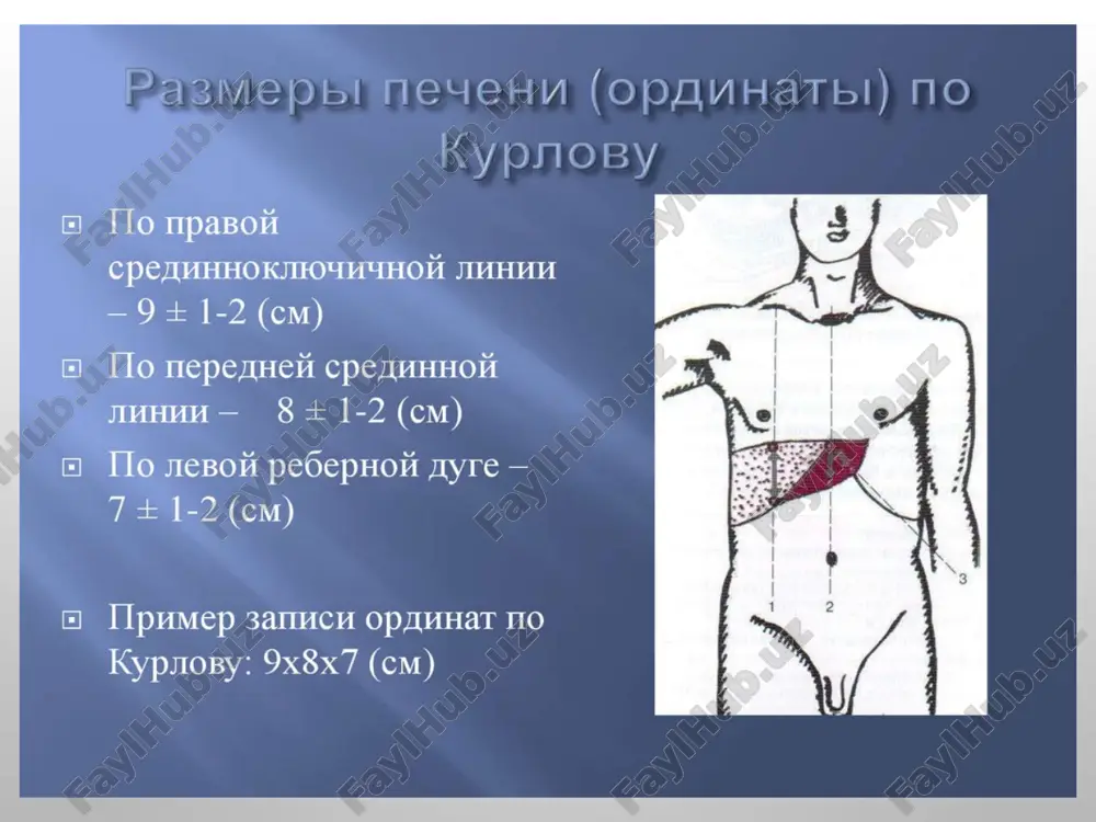 liticheskaya anemiya, obuslovlennaya defitsitom glyukozo-6-fosfatdegidrogenazi, talassemiya, paroksizmalnaya nochnaya gemoglobinuriya, autoimmunnaya gemoliticheskaya anemiya. pechenochnie jeltuxi: virusnie gepatiti (a, v, s, d, e), gerpeticheskiy gepatit, tsitomegalovirusniy gepatit, jeltaya lixoradka, infektsionniy mononukleoz, vozvratniy tif, kishechniy iersinioz, ornitoz, leptospiroz, salmonellez, sepsis, alkogolniy, lekarstvenniy, toksicheskiy i xronicheskiy aktivniy gepatiti, tsirroz pecheni. xolestaticheskaya jeltuxa. * gemoliticheskaya parenxima-toznaya mexani-cheskaya obshiy bilirubin norma / uvelichen uvelichen uvelichen nekonyugirovan-niy bilirubin uvelichen norma / uvelichen norma kon'yugirovanniy bilirubin norma uvelichen uvelichen urobilinogen uvelichen norma / uvelichen snijen / otritsatelniy tsvet mochi oranjevo-jyoltiy temniy tyomniy (penistaya, tsvet piva) tsvet stula tyomniy obestsvechenniy obestsvechenniy shelochnaya fosfataza norma uvelichena uvelichena alt i ast norma uvelicheni norma osnovnie prichini xolestaza u vzroslix: vnutripechenochniy xolestaz vnepechenochniy xolestaz virusnie gepatiti alkogolniy gepatit i tsirroz pecheni pobochnie deystviya lekarstvennix sredstv pervichniy biliarniy tsirroz kamni obshego jelchnogo protoka rak podjeludochnoy jelezi rak obshego jelchnogo protoka xolangit pankreatit posleoperatsionniy otek i strikturi jelchnix protokov konstitutsionalnie jeltuxi sindrom jilbera nasledstvennoe …