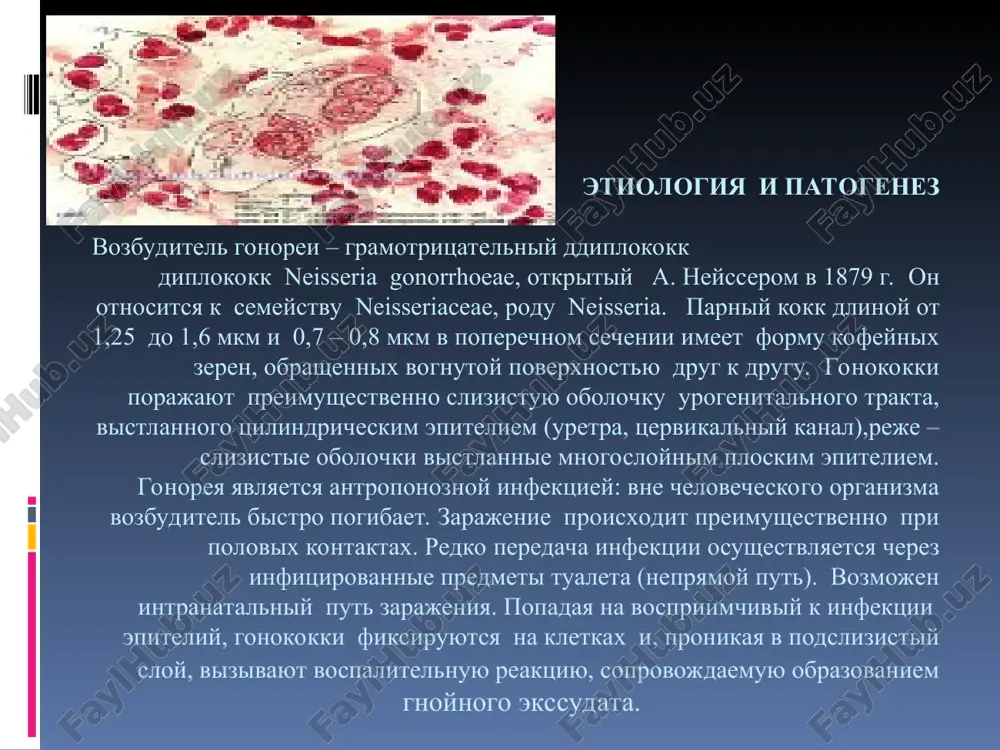 puskatelnom kanale v nachale akta mocheispuskaniya. v sluchae je rasprostraneniya vospaleniya na vsyu uretru k videleniyam prisoedinyaetsya boleznennost v uretre v kontse mocheispuskaniya, uchashennie mocheispuskaniya, lojnie pozivi na mocheispuskanie, mojet poyavitsya krov v moche. inogda bolezn protekaet bez kakix-libo proyavleniy (eto zavisit ot individualnix osobennostey bolnogo) ili proyavleniya ee nastolko neznachitelni, chto bolnoy ne pridaet im znacheniya i ne prinimaet nikakix mer. izmeneniyami obshego sostoyaniya bolezn, kak pravilo, ne soprovojdaetsya. prichem pri otsutstvii lecheniya proyavleniya bolezni so vremenem stixayut, boleznennie oshusheniya propadayut, videleniya stanovyatsya vse menee i menee obilnimi. mnogie bolnie raduyutsya takoy polojitelnoy dinamike, rastsenivaya ee kak priznak vizdorovleniya. no v etom-to i zaklyuchaetsya kovarstvo bolezni, ischezaet ne bolezn, a tolko ee priznaki, a sama bolezn prodoljaet razvivatsya. * * * oslojneniya oslojneniya gnoynogo uretrita u mujchin svyazani s porajeniem periuretralnix i pridatochnix jelez. pri rasprostranenii infektsii vosxodyashim putem razvivayutsya sleduyushie oslojneniya. littreit – vospalenie naxodyashixsya v uretre alveolyarnix …