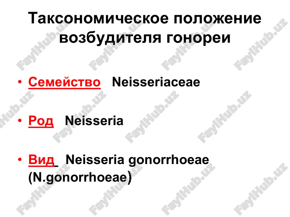 n. gonorrhoeae (golubie) atakuyut epitelialnie kletki cheloveka. patogenez gonorei patogenez gonorei vxodnie vorota infektsii - tsilindricheskiy epiteliy uretri, tservikalnogo kanala, reje - pryamoy kishki, glotki i kon'yunktivi glaza. gonokokki prikreplyayutsya k spetsializirovannim retseptoram epitelialnogo sloya i pronikayut v epiteliotsiti putem aktivnogo endotsitoza. v endosomax vozbuditeli razmnojayutsya; chasto neskolko endosom, naxodyashixsya v kletke, ob'edinyayutsya v odnu bolshuyu vakuol, gde bakterii prodoljayut razmnojatsya. vakuoli slivayutsya s bazalnoy membranoy i gonokokki popadayut v subepitelialnuyu soedinitelnuyu tkan. razvivaetsya vospalitelniy protsess, kotoriy imeet gnoyniy xarakter, v zonu infektsii migriruet ogromnoe kolichestvo neytrofilov, fagotsitiruyushix vozbuditeley. v rezultate tsitotoksicheskogo deystviya vozbuditeley proisxodit gibel i slushivanie epitelialnix kletok, gonokokki rasprostranyayutsya, prodvigayas po slizistoy obolochke mochepolovix putey i po limfaticheskim sosudam. pervonachalno infektsiya porajaet nijnie otdeli mochepolovogo trakta - oblast vxodnix vorot i neredko prilejashie organi. dalee razvivaetsya kak vosxodyashaya infektsiya patogenez gonorei pri vnegenitalnix vxodnix vorotax nablyudaetsya proktit, faringit, kon'yunktivit. vozmojno proniknovenie vozbuditeley v krovotok i zanos ix …