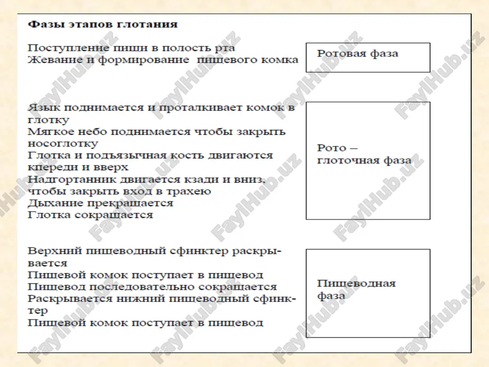a – asosan qizilo'ngach kasalliklarida qo'llaniladi * disfagiya sabablari asab tizimi kasalliklari mushaklar zararlanishi yallig'lanish struktura o'zgarishlari tizimli kasalliklar o'smalar xirurgik jarayonlardani keyingi holatlar * oral causes: somatitis, ulcer of tongue, cleft palate, vitamin deficiency oropharyngeal causes nervous system: cva, parkinson’s, ms, als, peripheral neuropathy muscle damage: myasthenia gravis, muscular dystrophy, poliomyelitis, myxedema inflammatory/infectious: abscess, botulism, rabies structural: local neoplasm, webs, vertebral osteophyte, diverticula other: sphincter dysfunction, fluoride poisoning, radiation therapy esophageal causes structural: benign strictures, neoplasm external compression – thyroid, left atria, aortic aneurysm, diverticula muscular: same as oropharyngeal causes motility disorders: primary – achalasia, diffuse esophageal spasm, hypertonic lower sphincter. secondary – gastroesophageal reflux disease, scleroderma disfagiya bilan kasallanganlarga 5 maslahat o'tirib ovqatlanish, boshni stabil ushlash tishlar bo'lmasa, ovqat vaqtida protez taqish kichik portsiyalarni sekin eyish ovqatni yaxshi chaynash boshni egmaslik uchun, kasalning chashkasi suv bilan to'lgan bo'lishi zarur ovqatda «gazlangan» moddalarni olib tashlash, ozish ovqatdan so'ng 3-4 …