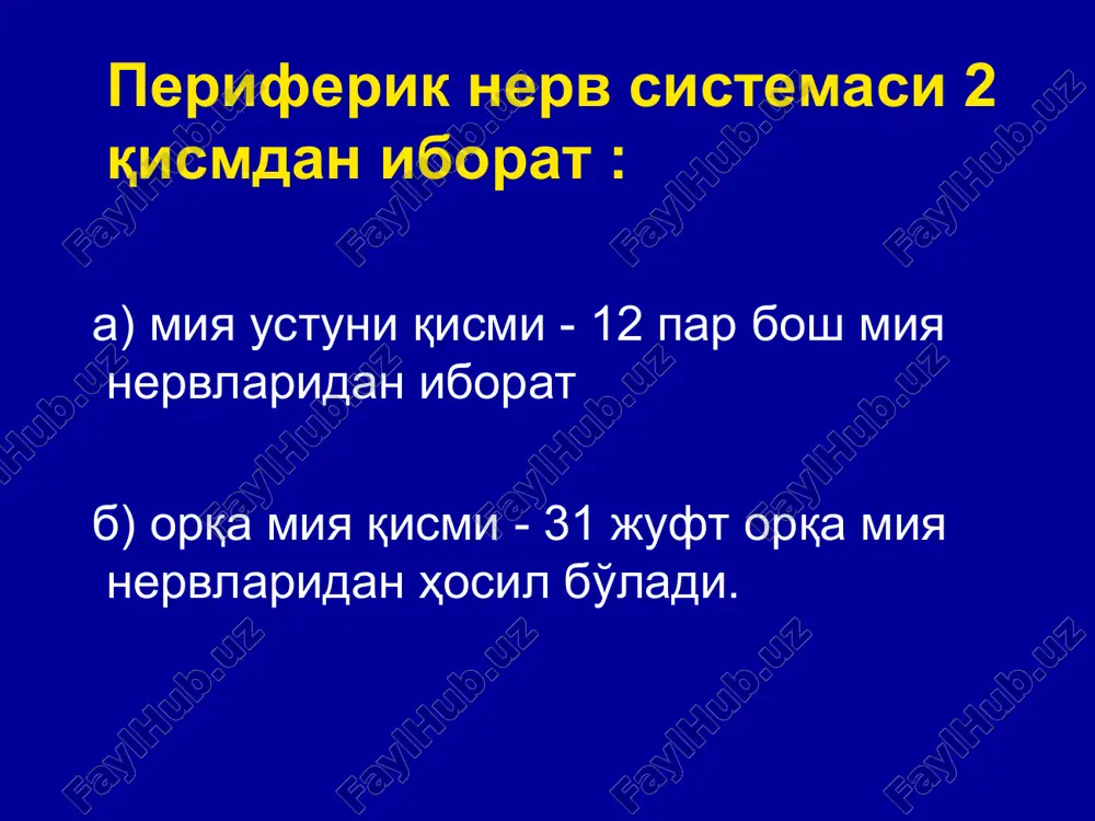 shashtirilishi. patogenez: eng kup yuz, uch shoxli va utirgich nervlar va ularning tomrichalari zararlanadi, bu suyak ustidagi ingichka suyak kanallari orasidan utishi bilan tushuntiriladi. suyak kanali orsaida patalogik protsessi okibatida kelib chikkan shish, distsirkulyatsiyaning, ichtomir va ichtana gipertenziyalarini rifojlanishiga yordam beradi. kimirlash, aksurish, yutalish va vena sistemasidagi subaraxnoidal bushligida bosimning kupayishi ogriklarga olib keladi. umurtka pogonasining asosiy omillari ta'sirida ikkilamchi radikulit va osteoxonedroz kasalligi kelib chikadi. shuningdek, distsirkulyatsiyani rivojlanishida asosiy rolni tukimalarda yalliglanish, distrofik va destruktiv, protsesslar uynaydi. radikulit va nevritlarga olib keladigan asosiy sabablar shamollash, sovuklanish va namlik. ular umurtka pogonasida va bosh suyakning yalliglanish va distrofik protsesslarga olib keladi. periferik nerv sistemasining kasalliklarini klassifikatsiyasi (1982-1984 yy.). i. vertebrogen zararlanishlar 1.1. reflektor sindromlar 1.1.1. tservikalgiya 1.1.2. tservikokranialgiya (orka buyin simpatik sindromi va x.k.) 1.1.3. tservikobraxialgiya. 1.2. tomirchalar sindromlari 1.2.1. diskogen (vertebrogen) zararlanish ("radikulit") tomirchalar (kaysi biriligini kursating) 1.3. tomirchalar-tomirlar sindromi (radikuloishemiya). 2. kukrak kursatkichi 2.1. reflektor sindromlari 2.1.1.torakalgiya 2.2. …