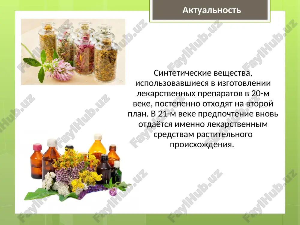sirya zalit 200 ml goryachey vodi, gret na kipyashey vodyanoy bane 30 minut. * rastvor 1 rastvor 2 rastvor plodov shipovnika issledovatelskaya rabota rastvor plodov shipovnika rastvor 1 rastvor 2 issledovatelskaya rabota rastvor plodov shipovnika rastvor 1 rastvor 2 issledovatelskaya rabota opros 1)perechislite 3 lekarstvennix rasteniya vashey mestnosti. otvechali: valeryana, romashka, polin, krapiva, podorojnik, mat-i-machexa, zveroboy, shalfey, kora duba, tsvetki lipi, shipovnik, melissa, myata, kalendula, reven, boyarishnik, kiprey, chereda, jenshen, chabrets, tisyachelistnik, jasmin, chistotel, bagulnik * opros 3) xoteli bi vi uznat o tom, kak zavarivat lekarstvennie travi i kak ix pravilno prinimat? 2) vi prinimaete lekarstvennie preparati dlya svoego lecheniya? * opros 4) vi predpochitaete lekarstvennie sredstva otechestvennogo ili zarubejnogo proizvodstva? 5) znaete li vi, chem otlichayutsya nastoi ot otvarov, nastoyki ot past? * zaklyuchenie interes k tselebnim svoystvam rasteniy v nastoyashee vremya visok kak nikogda, i nauchnaya meditsina prodoljaet obogashatsya za schet narodnix sredstv. rasteniya kak bili glavnim …