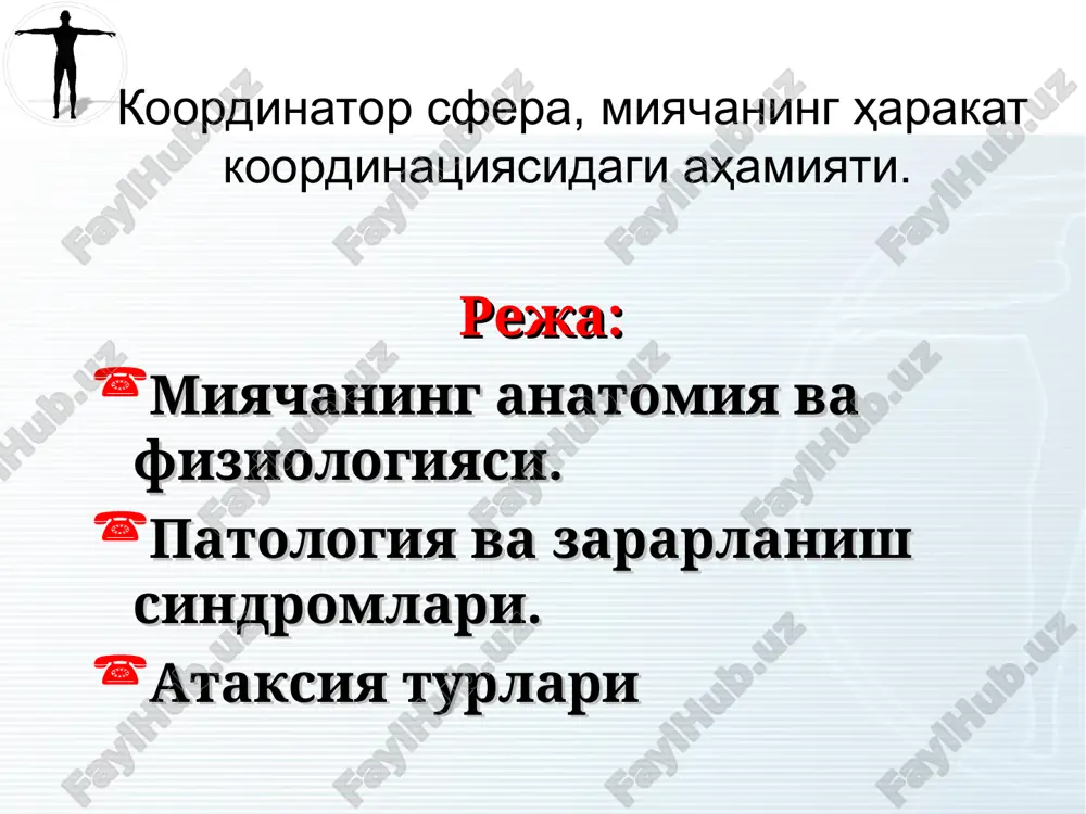 arteriyasi ajraladi. asosiy arteriyadan esa o'rta va tepa oldingi arteriyalari ajraladi va ular 3 juft xolatda miyachani qon bilan ta'minlaydi. miyacha va uning yo'llari 1. retikulyarnaya formatsiya; 2. mozjechkovo-krasnoyaderniy put; 3. krasnoyaderno-spinno mozgovoy put. 4. predverno-spinomozgovoy put 5. peredniy spino-mozjechkoviy put. 6. motoneyroni spinnogo mozga 7. zadniy spinno-mozjechkoviy put; 8. tonkoe i klinovidnoe yadra; 9. retikulospinno-mozgovoy put; 10.nijnyaya oliva; 11. retikulo-mozjechkoviy put; 12. preddverno-mozjechkoviy put; 13. krasnie yadra; 14. visochno-temenno-zatilochno-mostovie volokna; 15.lobno-mostovie volokna; 16.yadro shatra chervya mozjechka; 17.zubchatoe yadro. yuqori oyoqcha efferent va afferent tolalardan iborat, govers tutami ikki marotaba kesishgan orka miya miyacha yuli. a. dentorubrospinal yul (monakov yul). 2. b. dentorubrothalamocortical yul. govers tutami ikki marotaba kesishib, miyachani uz tomoni bilan boglaydi. efferent yul (a) ikki marotaba kesishib, miyachani uz tomoni bilan boglaydi. (b) bir marotaba kesishib, miyachani karamag'karshi kizil yadro, kuruv dungligi va bosh miya pustlogi bilan boglaydi. 1. shunday kilib, miyachaning barcha utkazuvchi yuli uz tomonidagi …