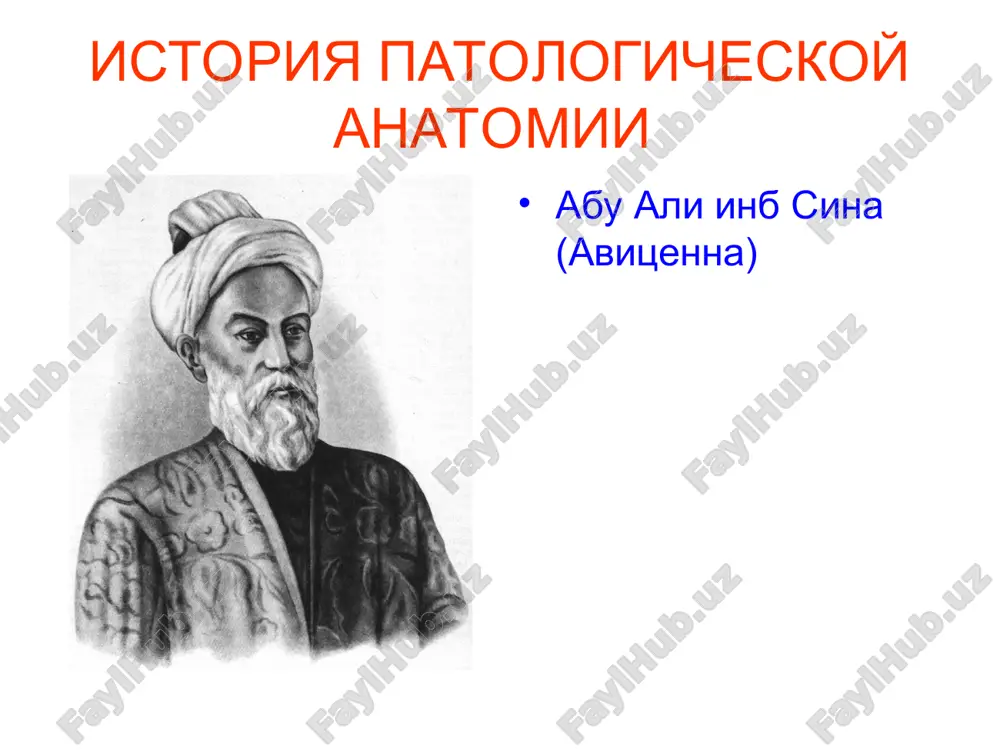 ugirgan. 1967-1970 y.y. – toshdavti tayyorlov kursi dekani, 1971-1972 y.y. – kafedra professori, 1972 yildan buyon toshpmi patologik anatomiya kafedrasi mudiri. tta patologik anatomiya kafedrasi tarixi polyakova galina aleksandrovna (1941 y.t.). tibbiyot fanlari doktori, professor. 1963 y. toshdavtini tugatgan, 1967 y. tibbiyot fanlari nomzodi, 1989 y. doktorlik dissertatsiya yoklagan. asosiy ilmiy yunalishi: neyrogumoral regulyatsiya patologiyalari. 150 dan ziyod ilmiy ishlar muallifi. 1968-1989 y.y. toshdavti patologik anatomiya kafedrasi dotsenti, 1989-1991y.y. – professori, 1990-1991 y.y. ilmiy ishlar buyicha prorektori bulib ishlagan. 1992 y. buyon moskva viloyati klinik ilmiy-tekshirish instituti patomorfologiya bulimi bosh ilmiy xodimi bulib ishlab kelmokda.