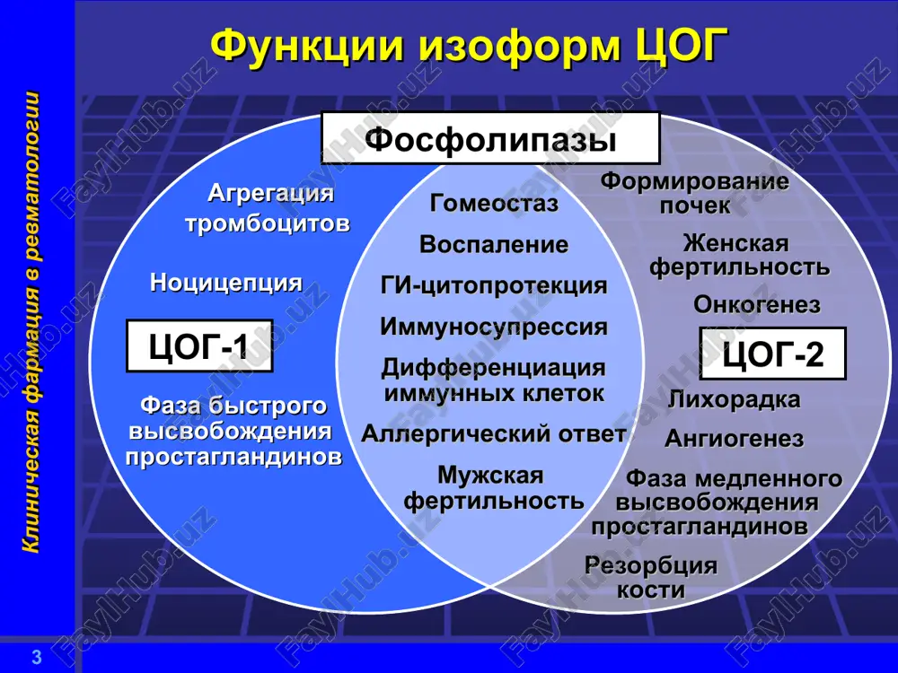 matologii « …gormonalnaya terapiya zamenyaet odno patologicheskoe sostoyanie drugim, neredko daje bolee tyajelim» dj. glin «gorazdo legche nachat steroidnuyu terapiyu, chem prekratit ee» e.m. tareeva * klinicheskaya farmatsiya v revmatologii u zdorovix lyudey pri otsutstvii stressa ejednevno sekretiruetsya 10-20 mg kortizola t1\2 kortizola sostavlyaet 60-90 minut * klinicheskaya farmatsiya v revmatologii biosintez gk puchkovaya zona kori nadpochechnikov cheloveka sekretiruet kortizol i kortikosteron, kotorie sinteziruyutsya iz xolesterina * klinicheskaya farmatsiya v revmatologii bioritmi gk tsirkadniy ritm soderjaniya kortikosterona v plazme krovi kris, nmol\l vremya sutok samki samtsi 5.00 495 132 8.00 518 170 11.00 558 311 14.00 567 357 17.00 1082 535 20.00 1514 772 23.00 1074 489 2.00 996 484 * klinicheskaya farmatsiya v revmatologii bioritmi gk priem gk doljen provoditsya v rannie utrennie chasi: 5.00-6.00 dlya patsientov, dlitelno prinimayushix gk, vozmojno primenenie 2\3 dozi v 5.00-6.00 i 1\3 dozi pozje, no do 12.00 * klinicheskaya farmatsiya v revmatologii mexanizm …