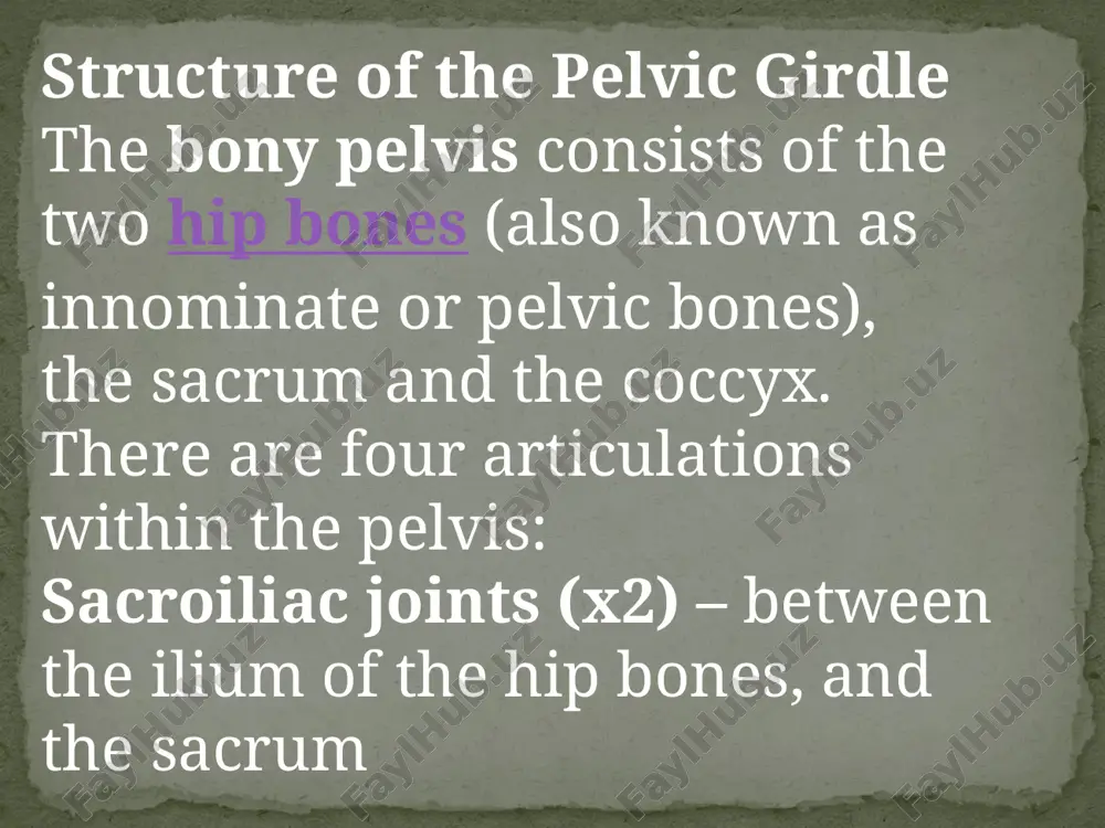 the pelvis - Page 3