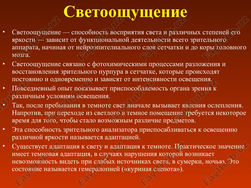 orogom (j). velichina, obratnaya absolyutnomu svetovomu porogu, xarakterizuet svetovuyu chuvstvitelnost (e): svetovaya chuvstvitelnost izmenyaetsya pod vliyaniem ryada faktorov, naibolee vajnoe znachenie iz kotorix imeet osveshennost. protsess prisposobleniya zritelnogo analizatora k razlichnim urovnyam osveshennosti nazivayut zritelnoy adaptatsiey. pri dnevnom svete svetovaya chuvstvitelnost bistro snijaetsya (svetovaya adaptatsiya), a v temnote medlenno vozrastaet (temnovaya adaptatsiya), dostigaya naibolee visokogo urovnya cherez 50—60 min. svetovaya chuvstvitelnost zavisit i ot xaraktera raspolojeniya palochek v setchatke. v tsentre setchatki svetovaya chuvstvitelnost menshe, chem v ee perifericheskix otdelax. maksimum chuvstvitelnosti prixoditsya na zonu periferii mejdu 10-m i 20-m uglovim gradusom ot tsentra, gde palochki raspolagayutsya naibolee plotno. a) anatomicheskie regioni glaznogo dna, soglasno polyaku v) grafiki, otrajayushie plotnost palochek , kolbochek i ganglioznix kletok v fovea, parafovea i perifovea. svetovaya chuvstvitelnost na svetovuyu chuvstvitelnost mojet takje okazivat vliyanie svetovoy ob'ekt kak pryamoy razdrajitel. mejdu yarkostyu porogovogo razdrajitelya i ploshadyu ego vozdeystviya (uglovim razmerom ob'ekta) sushestvuet opredelennaya zavisimost. tak, …