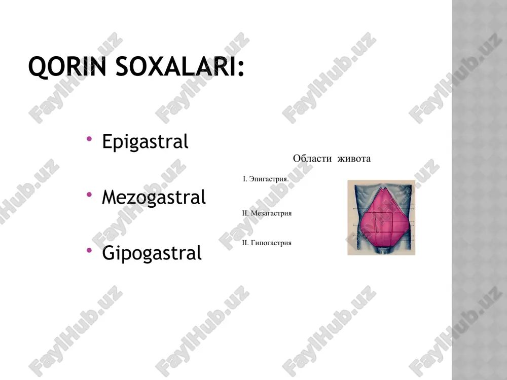 hok; tarqoq peritonit (butun qorin bo‘ylab og‘riq va taranglik); mahalliy peritonit (qorin choraklarining biri bilan chegaralangan); ichak tutili belgilari; turli-tuman ichki kasalliklar. ko‘p uchraydigan sabablar: o‘tkir qorinning eng ko‘p uchraydigan sabablari - o‘tkir appenditsit, o‘tkir gastroenterit, ta’sirlangan ichak sindromi, o‘t, buyrak va ichak sanchig‘i va ovulyasiya; bolalarda - mezadenit. qorindagi surunkali og‘riqlarning eng ko’p uchraydigan sabablari - qorin old devori va bel mushaklari shikastlanishi (16%), ta’sirlangan ichak sindromi (12%), ginekologik kasalliklar (8%), me’da va o‘n ikki barmoqli ichak yara kasalligi va diafragma kizilungach teshigi churrasi (8%); qorindagi surunkali og‘riqlarning 50% sabablari xozirgacha noaniq bo‘lib qolmoqda. qorin bo‘shlig‘i a’zolarining o‘tkir kasalliklariga shubxa tug‘diruvchi belgilariga quyidagilar kiradi: bosh aylanishi; qayta-qayta besabab qusish; qorinning o‘sib boruvchi shishi (meteorizmi); qorindagi og‘riqlarning kuchayishi; kuchli ifodalangan xolsizlik, apatiya (befarklik); rangparlik, sovuk ter bosishi; arterial gipotoniya; xilpillovchi (mersal) aritmiya, taxikardiya; yuqori xarorat; shetkin-blyumberg belgisi; qorin old devori mushaklari taranglashuvi; defekatsiya paytida xushdan ketish (qorin bo‘shlig‘iga qon ketganda, …
