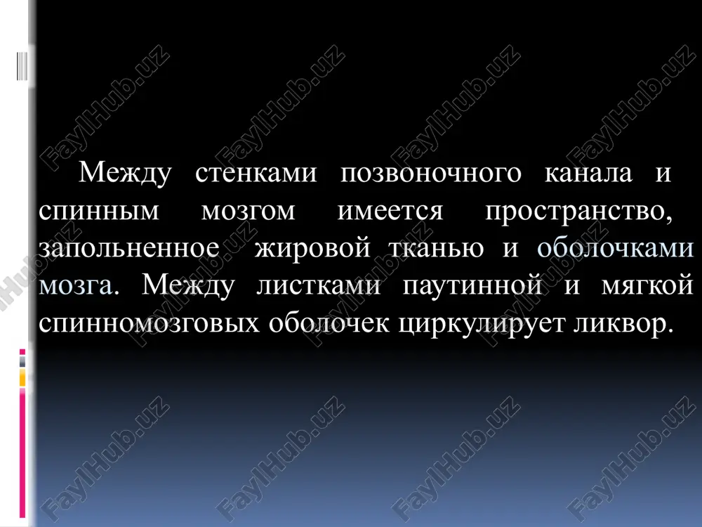 ra 20. chernaya substantsiya 21. tektospinalniy trakt 22. rubrospinalniy trakt 23. retikulyarnaya formatsiya 24. lobnomostovoy put 25. korkovoyaderniy put 26. korkovospinalniy put 27. zatilochno-temenno-visochno-mostovoy 28. seroe i beloe v-vo 29. pretektalnie yadra 30. spinno-talamicheskiy tr. 31. glazodvigatelniy nerv rombovidnaya yamka ris. 11. proektsiya yader ch/ m nervov na dne rombovidnoy yamki . 20. dvigatelnoe ya. iii ch/m n. 21. yadro yakubovicha 22. sredinnoe yadro 23. yadro iv nerva 24. mostovoe yadro v nerva 25. spinnomozgovoe v n. 26. srednemozgovoe v n. 27. nigatelnoe ya .v n. 28. dvigatelnoe ya.v n 29. dvigatelnoe ya.vii n 30. sleznoe yadro 31. verxnee slyunootdelit. 32. yadro odinochnogo puti 33. vestibulyarnoe yadro 34. ulitkovie yadra 35. dvoynoe yadro 36. nijnee slyunootdelit. 37. zadnee blujdayushego n. 38. yadro dobavochnogo n. 39. yadro pod'yazichnogo n spetsificheskie yadra stvola mozga tonkoe i klinovidnoe yadra (yadra zadnix kanatikov) — vtorie neyroni glubokoy chuvstvitelnosti. yadra olivi otnosyatsya k ekstrapiramidnoy sisteme. …