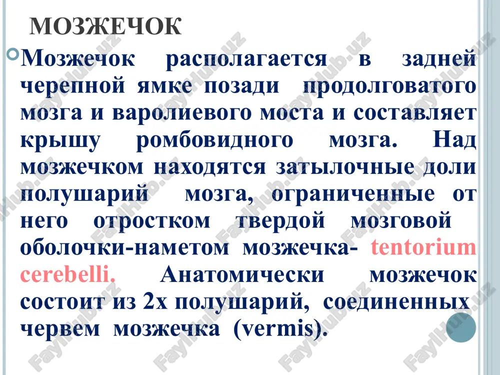 y tonus sgibateley i razgibateley («voskovidnaya gibkost»); bradikineziya — zamedlennost, bednost dvijeniy ili akineziya — ix otsutstvie; tremor — drojanie ruk, golovi, nijney chelyusti; inertnost; otsutstvie sodrujestvennix dvijeniy; semenyashaya poxodka, monotonnaya, tixaya rech. povishenie tonusa po plasticheskomu tipu v vide «zubchatogo kolesa». rech stanovitsya monotonnoy, tixoy tremor – v vide «scheta monet» mikrografiya propulsiya, retropulsiya, lateropulsiya (v pered, nazad, v storonu). chernaya substantsiya i krasnoe yadro. patologiya striarnoy sistemi gipotonicheski-giperkineticheskiy sindrom gipotoniya – ponijenie tonusa mishts ekstrapiramidnie giperkinezi- neproizvolnie, izbitochnie, nasilstvennie dvijeniya. xoreicheskie giperkinezi- bistrie podergivaniya, «tantsuyushaya poxodka», «grimasnichane» patologiya striarnoy sistemi: miokloniya atetoz –medlennie izvivayushiesya dvijeniya v distalnix otdelax konechnostey torsionniy spazm spasticheskaya krivosheya lokalizovanniy spazm –gemi spazm, para spazm tiki sindromi porajeniya striarnoy sistemi porajenie polosatogo tela xarakterizuetsya gipotonicheski-giperkineticheskim sindromom, vklyuchayushim mi­shechnuyu gipotoniyu i raznoobraznie giperkinezi —na­silstvennie dvijeniya, ne poddayushiesya kontrolyu (v ot­lichie ot giperkinezov prosto nasilstvennie-dvijeniya mogut bit soznatelno zatormojeni). naibolee chastie iz nix sleduyushie: xoreya —bistrie, …