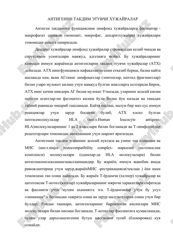 arida kechadi va "ag + hla" molekulalari xujayraning membranasiga tashib chikariladi (rasm 10), limfotsitlar re-tseptorlari tomonidan aniklab olinishi uchun sharoit yaratiladi. antigenni taqdim etuvchi xujayralar leykotsitlarning geterogen populyatsiyalaridan biri hisoblanadi. antigenni taqdim etuvchi xujayra markerlari xujayralar: langergans, follikulayar dendrit, b-limfotsid, makrofag; markerlari : sr1 , cd35 ularning ba'zilari t — xelper xujayrasining funktsional faolligini yuzaga keltirishda, boshqalari esa leykotsitlar bilan aloqa o'rnatishda muxim axamiyat kasb etadi. antigen prezentatsiyasini (taqdim qilish) amalga oshiruvchi xujayralarni, asosan teri, limfatik tugun, talox va timusning tarkibida uchratish mumkin. teri tarkibida uchraydigan xujayralar langergans xujayralari sifatida ma'lum. ular fc—igg, sz, la retseptorlari va 1a antigenlariga ega. bundan tashqari, langergans xujayralarida tashqi qavat immunoglobulinlari va t — xujayra markerlari yo'q. antigenni taqdim etuvchi xujayralar qatoriga yana boshqa, maxsus follikulyar dendritik xujayralar xam kiradi. ularni talox va limfatik tugunning v — min- taqalarida uchratish mumkin. antigen perezentatsiyasida ishtirok etuvchi xujayralar turli markerlar soxibkori xisoblanadi. v — xujayralar xam …