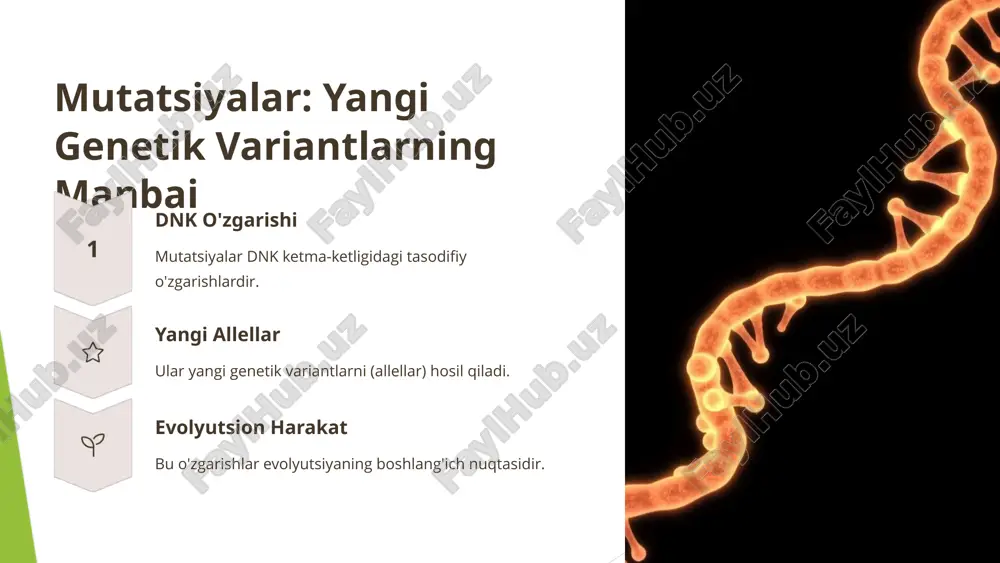 evolyutsiyaning genetik asoslari - Page 3