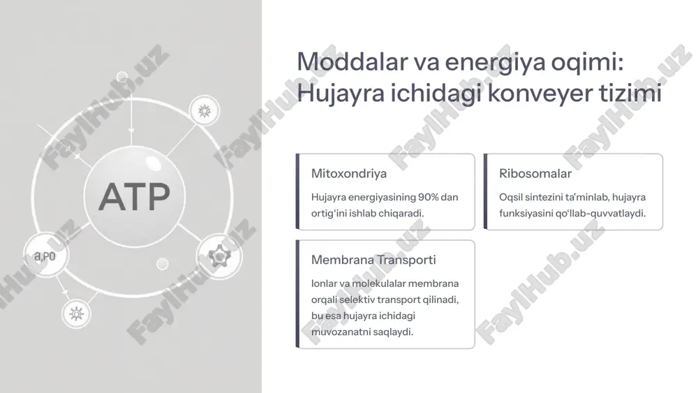 ologiyalar yordamida hujayra funksiyalarini boshqarish orqali ko'plab kasalliklarni yengish mumkin. kelajakda energiya va ma'lumot oqimini chuqur o‘rganish tibbiyotda yangi davrni boshlab berib, inson salomatligi uchun keng imkoniyatlar yaratadi. 10 image1.png image2.png image3.png image4.png image5.png image6.png image7.png image8.png image9.png image10.png image11.png image12.png image13.png image14.png image15.png image16.png image17.png image18.png image19.png image20.png
