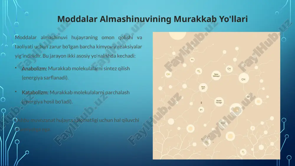ng oldini olish strategiyalarini ochib beradi. bu sohadagi tadqiqotlar inson salomatligi uchun juda muhimdir. ushbu taqdimot hujayraning hayotiy mexanizmlari va ularning tibbiyotdagi ahamiyati haqida umumiy tasavvur berdi. 10 image3.png image4.png image5.png image6.png image7.png image8.png image9.png image10.png image11.png image12.png image13.png image14.png image15.png image16.png image2.png