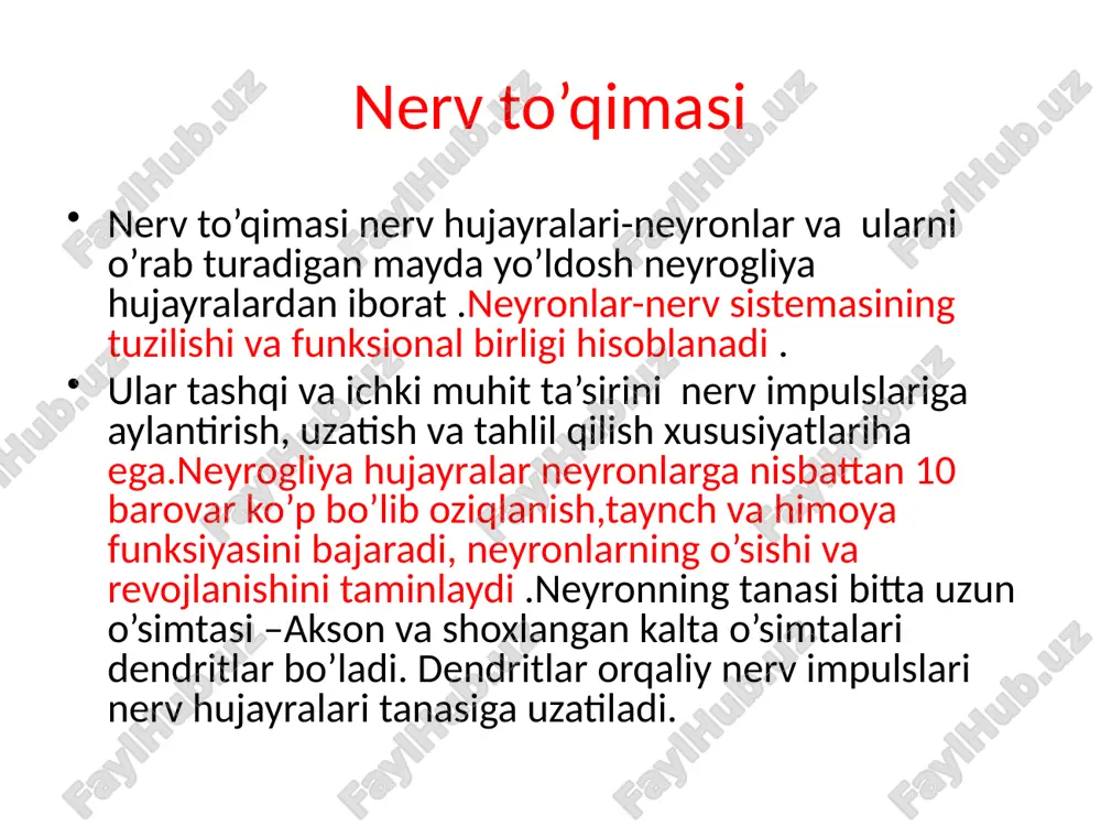 nerv sistemasi - Page 3