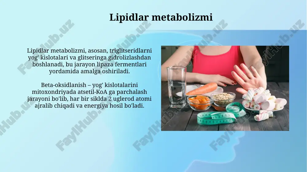 moddalar almashinuvi metabolizm - Page 3