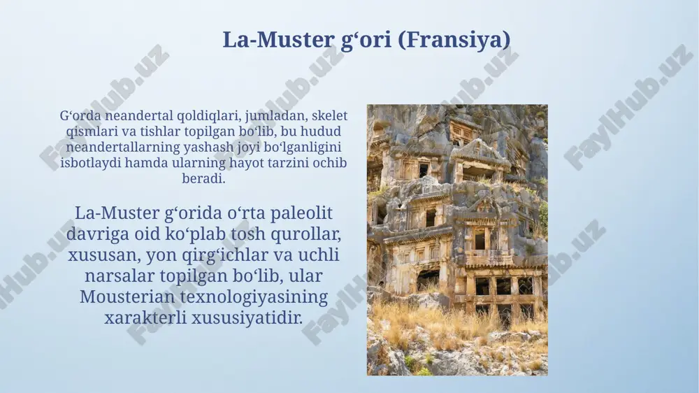 ish davrida, masalan, chatelperronian madaniyatida, neandertallar zamonaviy insonlar texnologiyalari taʼsirida murakkab tosh asboblar yasashni oʻrganganligi taxmin qilinadi. iqlim oʻzgarishi va adaptatsiya mousterian davrida iqlimning 100,000 yillik tsikllari haroratning 10-15°c gacha o'zgarishiga sabab bo'lgan, bu esa moslashuvni talab qilgan. neandertallar o'zgaruvchan iqlim sharoitlariga moslashish uchun 230,000 yil avval texnologik innovatsiyalarni, masalan, levallua tosh asboblarini ishlab chiqqan. olovdan foydalanish va uy-joy qurilishi g'orlarda uy-joy qurilishi, asosan, tabiiy to'siqlardan foydalanishga asoslangan bo'lib, shamoldan himoya qiluvchi tosh devorlar qo'shilgan. mousterian davrida, o'choqlar keng tarqalgan bo'lib, ularning diametri odatda 0.5 metrdan 1.5 metrgacha bo'lib, issiqlik va yorug'lik manbai sifatida xizmat qilgan. neandertal odamlarning ijtimoiy tashkiloti neandertal jamoalari odatda kichik guruhlardan iborat bo'lgan, taxminan 10-30 kishi, genetik xilma-xillik va resurslar bilan cheklanganligi sababli shunday bo'lishi mumkin. arxeologik dalillar, masalan, la chapelle-aux-saintsda dafn marosimlari, neandertallar g'amxo'rlik qilish, qayg'urish va hatto e'tiqodlarga ega bo'lganligini ko'rsatadi. mustye asboblari texnologiyasi: levallua texnikasi levallua usuli, 100000 yil oldin paydo bo'lganligi taxmin …