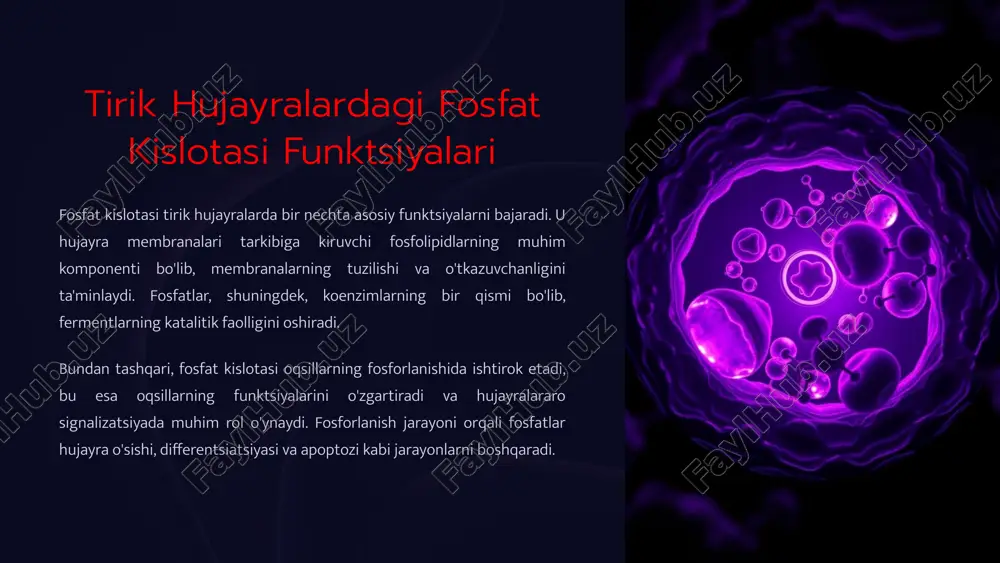 lanishiga olib kelishi mumkin. 7 surma birikmalarining ta'siri va qo'llanilishi surma (sb) birikmalari ham mishyak kabi zaharlilikka ega bo'lishi mumkin, ammo ularning ta'siri biroz farq qiladi. surma birikmalari fermentlarning faolligini inhibe qilishi va oqsil sintezini buzishi mumkin. surma, shuningdek, yurak-qon tomir tizimiga salbiy ta'sir ko'rsatishi va nafas olish yo'llarining zararlanishiga olib kelishi mumkin. shunga qaramay, surma birikmalari tibbiyotda ba'zi kasalliklarni davolashda qo'llaniladi. misol uchun, leishmaniozni davolashda surma asosidagi preparatlar ishlatiladi. bundan tashqari, surma birikmalari olovga chidamli materiallar, yarimo'tkazgichlar va boshqa sanoat mahsulotlarini ishlab chiqarishda qo'llaniladi. 8 vismut birikmalarining ta'siri va tibbiyotdagi qo'llanilishi vismut (bi) birikmalari mishyak va surmaga nisbatan kamroq zaharlilikka ega. vismut birikmalari tibbiyotda keng qo'llaniladi, xususan, oshqozon-ichak kasalliklarini davolashda. vismut subsalitsilat (pepto-bismol) oshqozon kislotasini neytrallash, yallig'lanishni kamaytirish va bakteriyalarga qarshi ta'sir ko'rsatish xususiyatlariga ega. vismut birikmalari, shuningdek, helicobacter pylori bakteriyasini yo'q qilish uchun antibiotiklar bilan birgalikda ishlatiladi. bundan tashqari, vismut birikmalari teri kasalliklarini davolashda, yaralarni bitirishda va rentgen …
