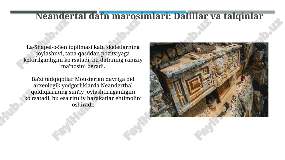 mustye davri iqtisodiyoti mustye davri iqtisodiyoti, asosan, ovchilik va terimchilikka asoslangan bo'lib, neanderthal odamlari yirik o'txo'r hayvonlarni, jumladan, mamontlarni ovlashgan va 80% oziq-ovqatni ta'minlagan. mustye davrida ibtidoiy to'dalarning iqtisodiyoti o'zaro yordamga asoslangan. guruh a'zolari o'ljani taqsimlash, bolalarni tarbiyalash va turar joyni himoya qilishda birgalikda harakat qilgan. iqlim o'zgarishi va moslashuv radiokarbonli dating kabi geoxronologik usullar bilan aniqlangan iqlim o'zgarishlari neandertal texnologiyasidagi o'zgarishlar, masalan, levallua texnikasi, bilan bog'liq bo'lib, moslashuvning muhimligini ko'rsatadi. mousterian davrida iqlim o'zgarishlari, masalan, 115,000-40,000 yil avval, neandertallarning tarqalishi va yashash joylariga ta'sir ko'rsatdi, ularning moslashuvchanligini sinovdan o'tkazdi. la ferrassi: tahlil va ahamiyati la ferrassidagi stratigrafik qatlamlar mousterian madaniyatining turli bosqichlarini aks ettiradi, bu esa texnologiyaning evolyutsiyasi va rivojlanishini oʻrganish uchun imkon beradi. saytdan topilgan ko'plab tosh qurollar, xususan, disk shaklidagi yadrolardan tayyorlangan levallua texnologiyasi, neandertallarning moslashuvchanligini namoyish etadi. shanidar g'ori: gullar bilan dafn etish sirlari ko'plab olimlar gul changlari tahliliga shubha bilan qarashadi, chunki kemiruvchilar yoki shamol …