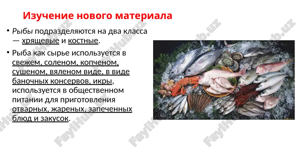 s. voda doljna bit chistoy, protochnoy, nexlorirovannoy. dlya predoxraneniya ribi ot porchi i udlineniya sroka xraneniya ee podvergayut razlichnoy obrabotke: oxlajdeniyu, zamorajivaniyu, sushke i dr. oxlajdennaya riba oxlajdennoy nazivayut ribu, imeyushuyu v tolshe mishechnoy tka­ni temperaturu ot -1 do +5 °s. oxlajdayut ribu srazu posle vilova. po vidam razdelki oxlajdennaya riba mojet bit nerazdelannaya (karpovie ribi, okunevie, nekrupniy som, salaka, shuka, piksha, navaga), potroshennaya s golovoy (krupniy som, kambala), potroshenaya obezglavlennaya (treskovie, morskoy okun, zubatka). rib — marinku, iglobryuxa, usacha — obyazatelno potroshat s tshatelnim udaleniem bryushnoy plenki, tak kak sama plenka i vnutren­nie organi etix rib yadovitie. oxlajdayut ribu ldom, oxlajdennoy vodoy ili rastvorom soli. trebovaniya k kachestvu oxlajdennoy ribi riba doljna bit nepobitoy, s chistoy poverxnostyu, pravilno razdelana, estestvennoy okraski, s jabrami ot temno-krasnogo do rozovogo tsveta. konsistentsiya plotnaya. zapax doljen bit svoystvennim svejey ribe, bez postoronnix zapaxov. ne dopuskaetsya k ispolzovaniyu oxlajdennaya riba s mexanicheskimi povrejdeniyami, s …