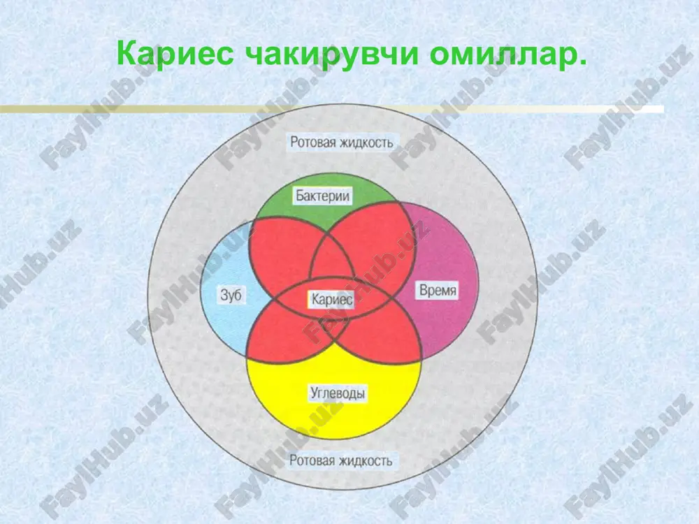 tish ipini olib, ipni ikkala kulning urta barmoklar uchiga urang. tish oralarini xarakatlar bilan tozalang. milklarni yaxshilab tozalang tish tozalashda asosiy xatolar: gorizontal xarakatlar xarakatlarning borib –kaytuvchi xarakterdaligi fakat kurinib turadigan yuzalarni tozalash tishlarni ovkatlanishdan oldin tozalash(ertalab nonushtagacha,keyin emas, kechkurun kechki ovkatdan avval) tish tozalash vaktining kamligi kushimcha gigienik vositalardan foydalanmaslik notugri tozalash natijasida milklarni jaroxatlash. tish pastalaridan notugri foydalanish tish chutkalarini notugri tanlash va ularning foydalanish muddatini utkazib yuborish. elgidium nojuya ta'siri: karshi kursatmalar aniklanmagan: adabiyotlar : asosiy : 1. kolesov a.a. «stomatologiya detskogo vozrasta» moskva, 1991g. 2. paxomov t.i. «pervichnaya profilaktika v stomatologii» moskva, 1982 g. 3. vinogradova t.f. «stomatologiya detskogo vozrasta» moskva, 1987 g. 4. evdokimova a.k. vinogradova t.f. «rukovodstvo po stomatologii detskogo vozrasta» meditsina, moskva 5. kuzmina e.m. i soavt.«profilaktika stomatologicheskix zabolevaniy» moskva,1997 g. 6. kuryakina n.v. «terapevticheskaya stomatologiya detskogo vozrasta» n. novgorod, 2004 g. 7. m.i. groshikov «profilaktika i lechenie kariesa zubov» moskva, 1980 g. …