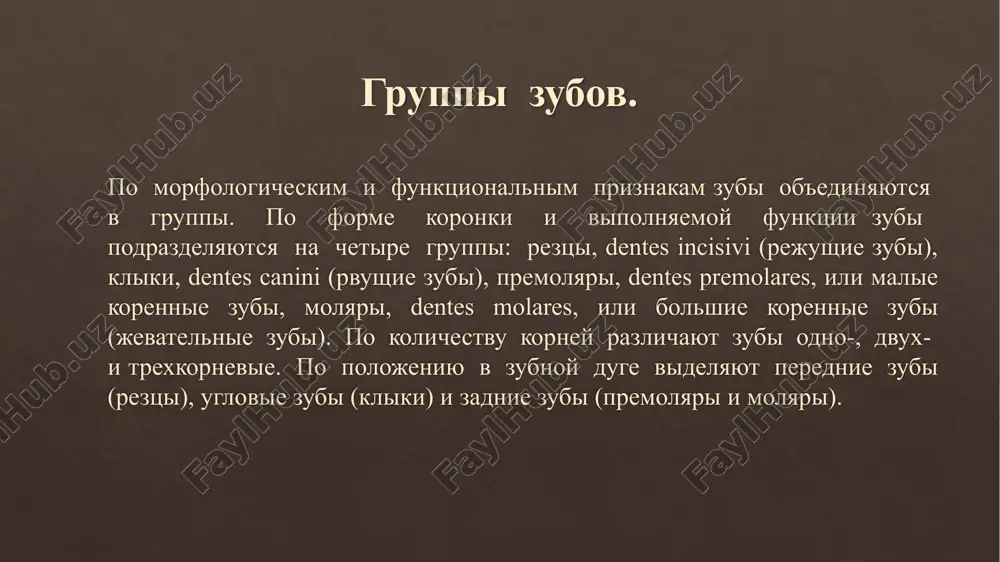 v - yazichnaya poverxnost; g - vestibuloyazichniy srez; d - meziodistalniy srez; e - rejushiy kray; 1, 2, 3 - forma poperechnix srezov na urovne koronki, sredney i verxney treti kornya sootvetstvenno verxniy klik, praviy: a - vestibulyarnaya poverxnost; b - mezialnaya poverxnost; v - yazichnaya poverxnost; g - vestibuloyazichniy srez; d - meziodistalniy srez; e - rejushiy kray; 1, 2, 3 - forma poperechnix srezov na urovne koronki, sredney i verxney treti kornya sootvetstvenno nijniy klik, praviy: a - vestibulyarnaya poverxnost; b - mezialnaya poverxnost; v - yazichnaya poverxnost; g - vestibuloyazichniy srez; d - meziodistalniy srez; e - rejushiy kray; 1, 2, 3 - forma poperechnix srezov na urovne koronki, sredney i verxney treti kornya sootvetstvenno perviy verxniy premolyar, praviy: a - vestibulyarnaya poverxnost; b - mezialnaya poverxnost; v - yazichnaya poverxnost; g - vestibuloyazichniy srez; d - meziodistalniy srez; e - rejushiy kray; 1, 2, 3 - …