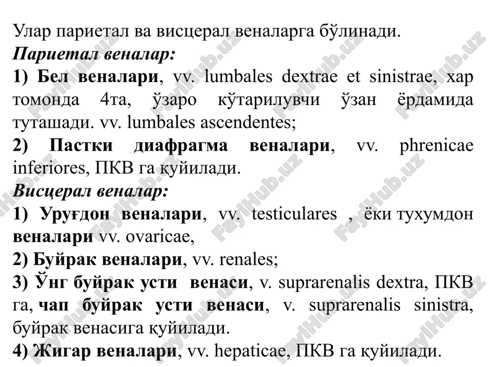 venasistemasining funksional anatomiyasi - Page 3