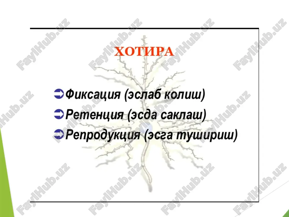 xotira - Page 3
