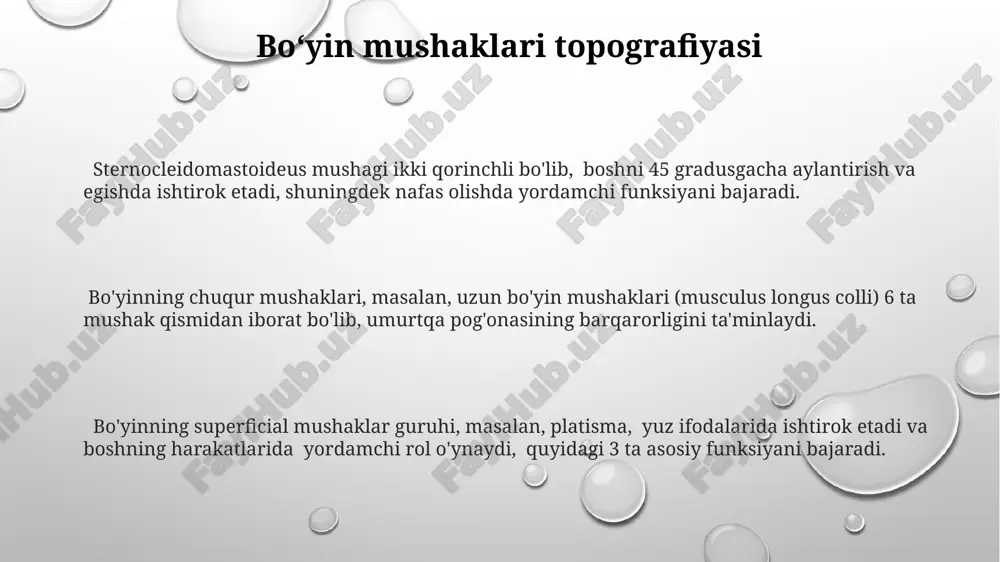 siyasi, asosan, kranial nervlar (12 juft) va spinal nervlar (31 juft) orqali amalga oshiriladi, ular har xil mushak guruhlariga motor impulslarni yetkazadilar. yurak mushaklarining tuzilishi yurak mushaklari 3 ta qatlamdan iborat: ichki endokard, o'rtadagi miokard (asosiy qismi) va tashqi epikard. miokardning qalinligi 10-15 mm ga yetadi va yurak qorinchalarida qalinroq bo'ladi. yurak mushak hujayralari (kardiomiotsitlar) tarmoqlangan va bir-biriga interkalar disklar orqali ulangan bo'lib, bu yurakning bir butun sifatida qisqarishini ta'minlaydi. ularning uzunligi 50-100 mkm, diametri esa 10-20 mkm. yurak mushak to'qimasida ko'plab mitoxondriyalar mavjud bo'lib, bu uning doimiy va samarali ishlashini ta'minlaydi. ular hujayra hajmiga qarab 40% gacha tashkil qiladi. bosh mushaklari topografiyasi yuz mushaklari taxminan 30 dan ortiq mushakdan iborat bo'lib, ularning asosiy funksiyasi mimikani ifodalash va og'iz, ko'z, burun kabi organlarning harakatlarini ta'minlashdir; ularning ko'pchiligi teriga yopishib joylashgan. peshenaning mushaklari, frontal va oksipital mushaklar kabi, bosh terisini harakatga keltirib, mimikani shakllantirishda ishtirok etadi, ularning birikish joylari aponevroz orqali …