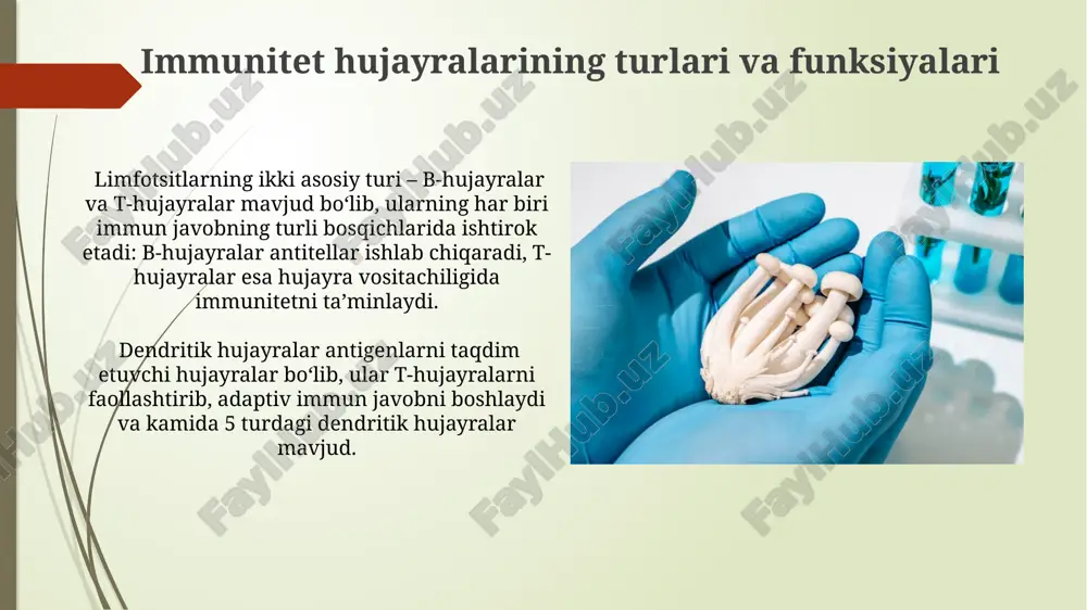 qon yaratuvchi va immun ximoya aʼzolari - Page 3