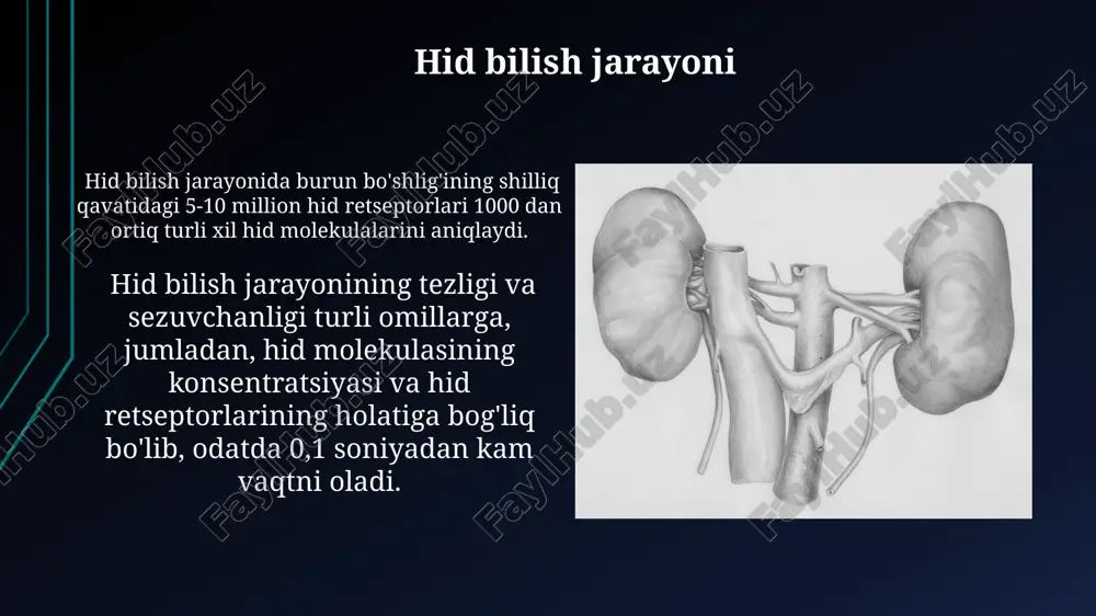 tomonidan yorug'likning 500 nm dan 700 nm gacha bo'lgan to'lqin uzunliklarini qabul qilinishi bilan boshlanadi. ko'rish o'tkirligi, odatda, markaziy ko'rish maydonida eng yuqori bo'lib, 1 graduslik burchakdagi vizual maydonni o'z ichiga oladi va konuscha hujayralarning zichligi bilan bog'liq. ta'm bilish organi (til) tuzilishi ta’m retseptorlari, yoki gustator retseptorlari, tilning epiteliy qatlamida joylashgan bo‘lib, taxminan 10,000 ta’m kurtakchasini tashkil qiladi. har bir ta’m kurtakchasi 50-100 ta gustator hujayralarini o‘z ichiga oladi va ularning hayotiy sikli taxminan 10-14 kun davom etadi, doimiy yangilanib turadi. sezish retseptorlari va ularning funksiyasi inson terisida taxminan 5 million mexanoreseptor mavjud bo'lib, ular teginish, bosim, harorat va og'riq kabi turli mexanik stimullarni aniqlaydi va markaziy nerv sistemasiga signal yuboradi. sezish retseptorlari, 5 asosiy turga bo'linadi: mexanoreseptorlar, termoreseptorlar, nociseptorlar, elektroreseptorlar va fotoreseptorlar, har biri o'ziga xos stimullarni qabul qiladi va ularni nerv impulslariga aylantiradi. hid retseptorlari va ularning funksiyasi hid retseptorlari burun bo'shlig'ining yuqori qismida joylashgan va taxminan …