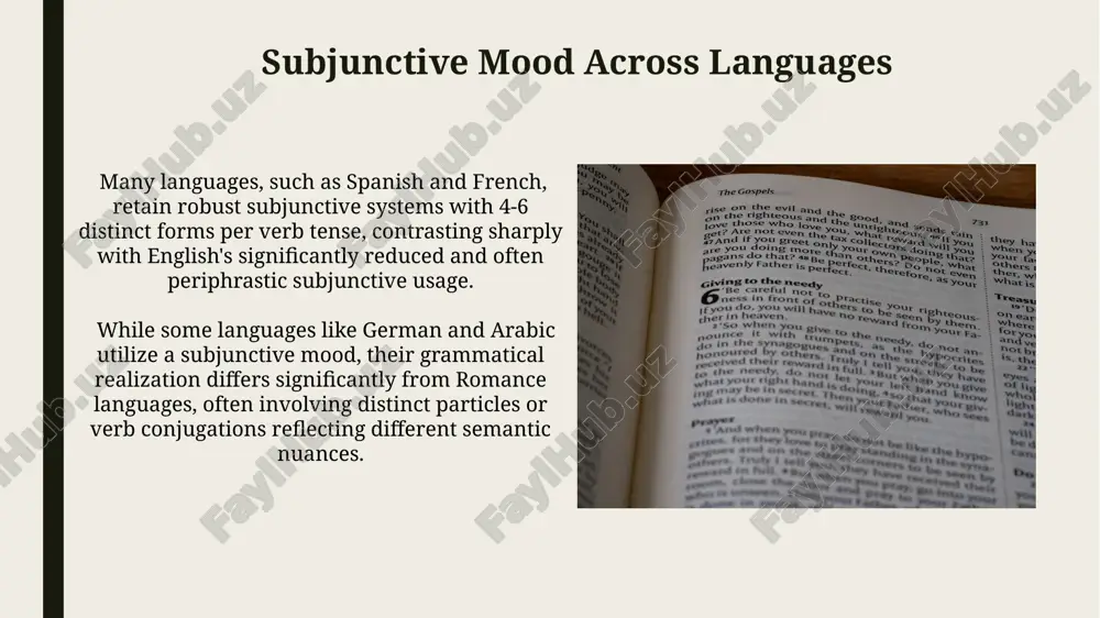 translation problems of subjunctive mood - Page 3