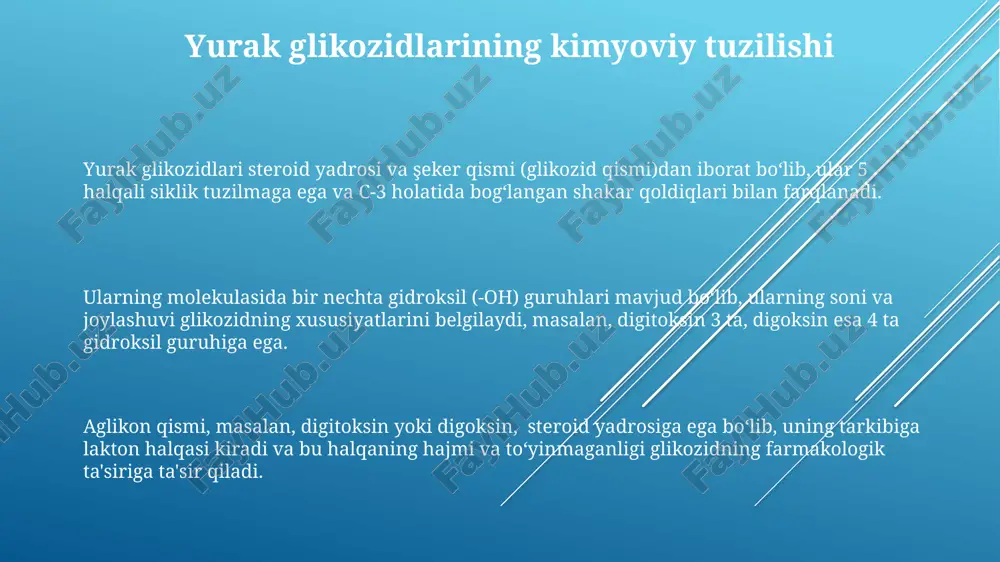 ladi va bu bogʻlanishning turi birikmaning farmakologik xususiyatlariga ta'sir qiladi. yurak glikozidlarining ta'siri, ularning glikozid bogʻlanishi orqali hujayra membranasidagi na+/k+-atfaz fermentini inhibe qilishi bilan bogʻliq boʻlib, bu jarayon 30% gacha inhibisyonni ta'minlaydi. glikozid bogʻlanishining gidrolizlanishi, fermentlar yoki kislotali sharoitlar ta'siri ostida, birikmaning faolligini yoʻqotishiga va uning terapevtik samaradorligini pasayishiga olib keladi. e'tiboringiz uchun rahmat @taqdimot_robot