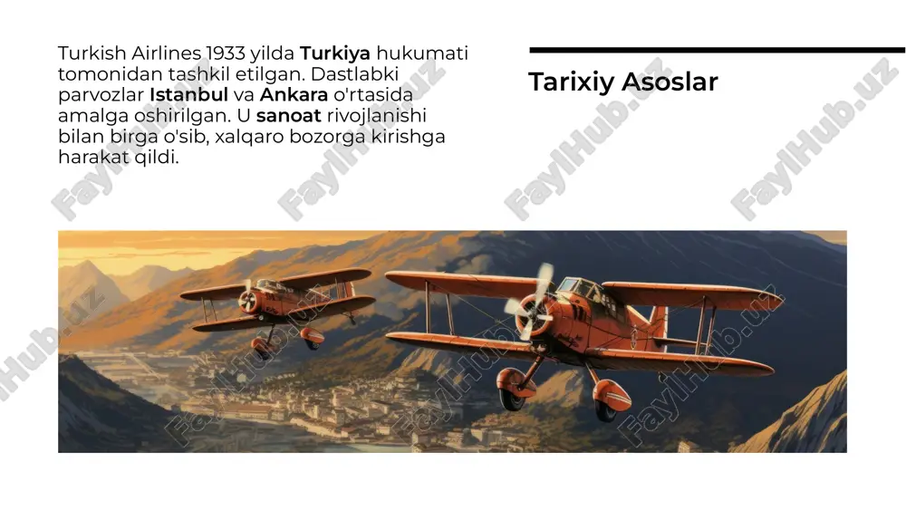 turkish airlines - Page 3