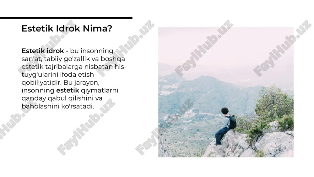 olamni virtual va vizual estetik idrok etish farqlari - Page 3